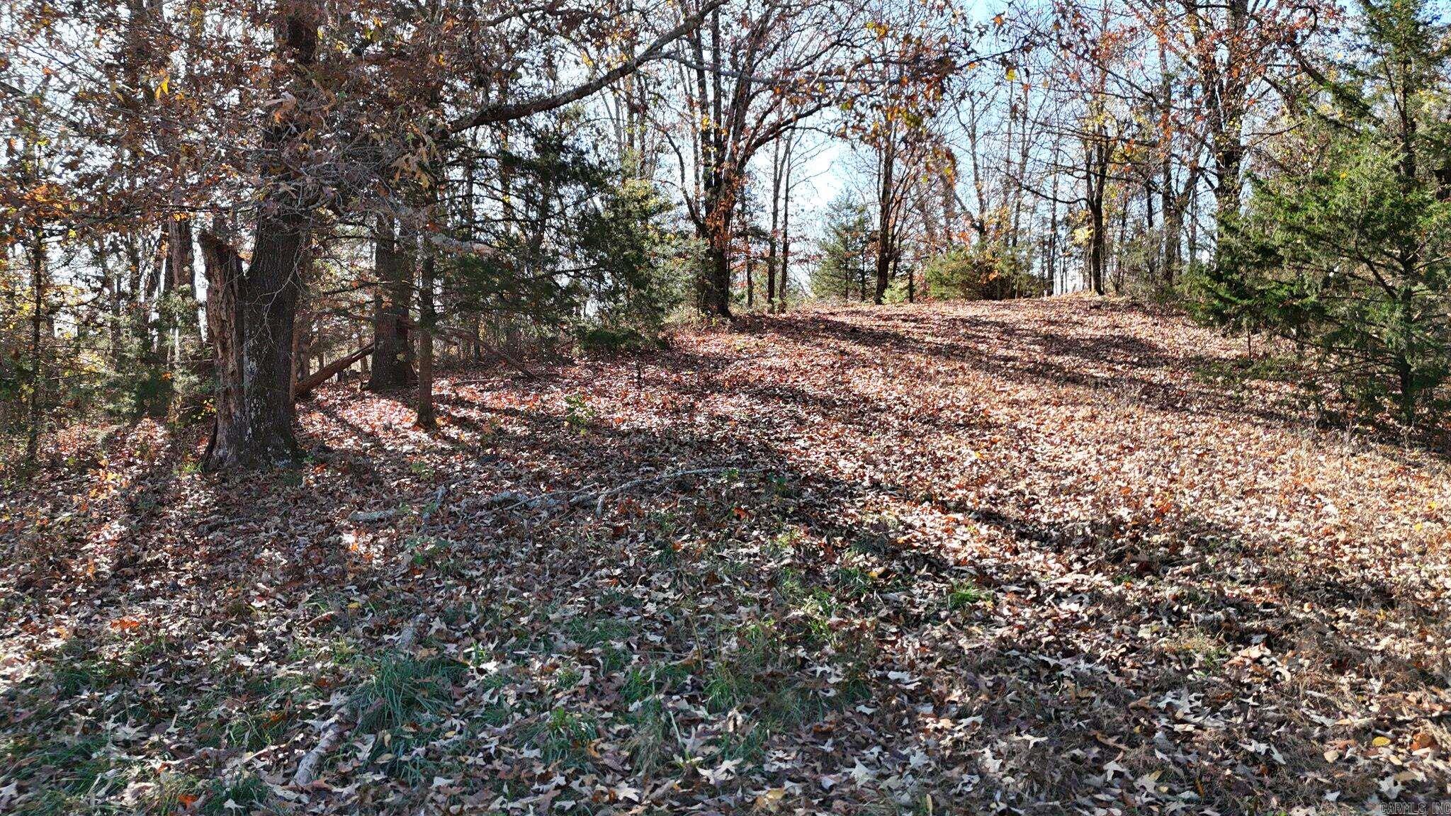 430 Polk Road 65 Mena, AR 71953