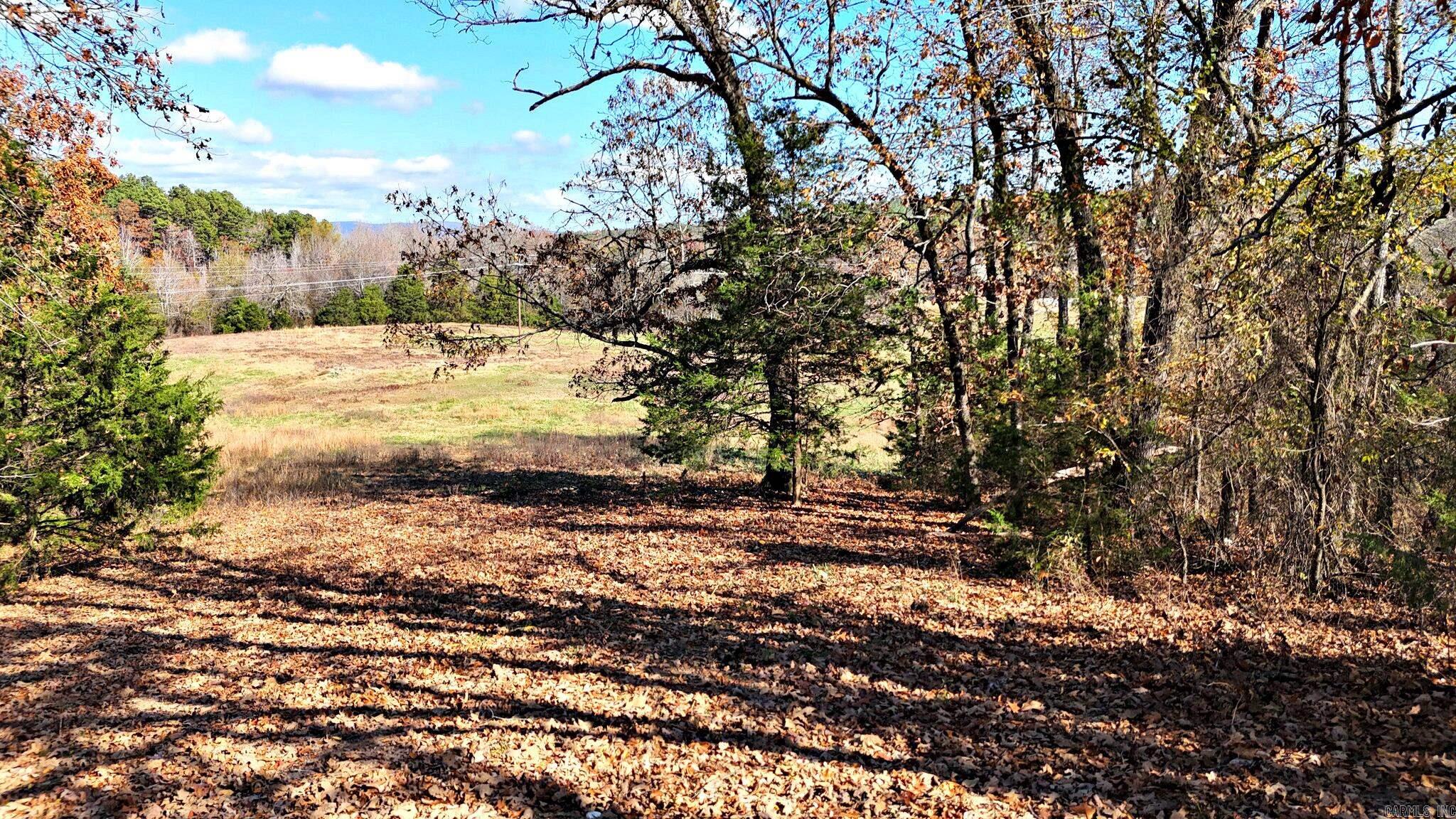 430 Polk Road 65 Mena, AR 71953