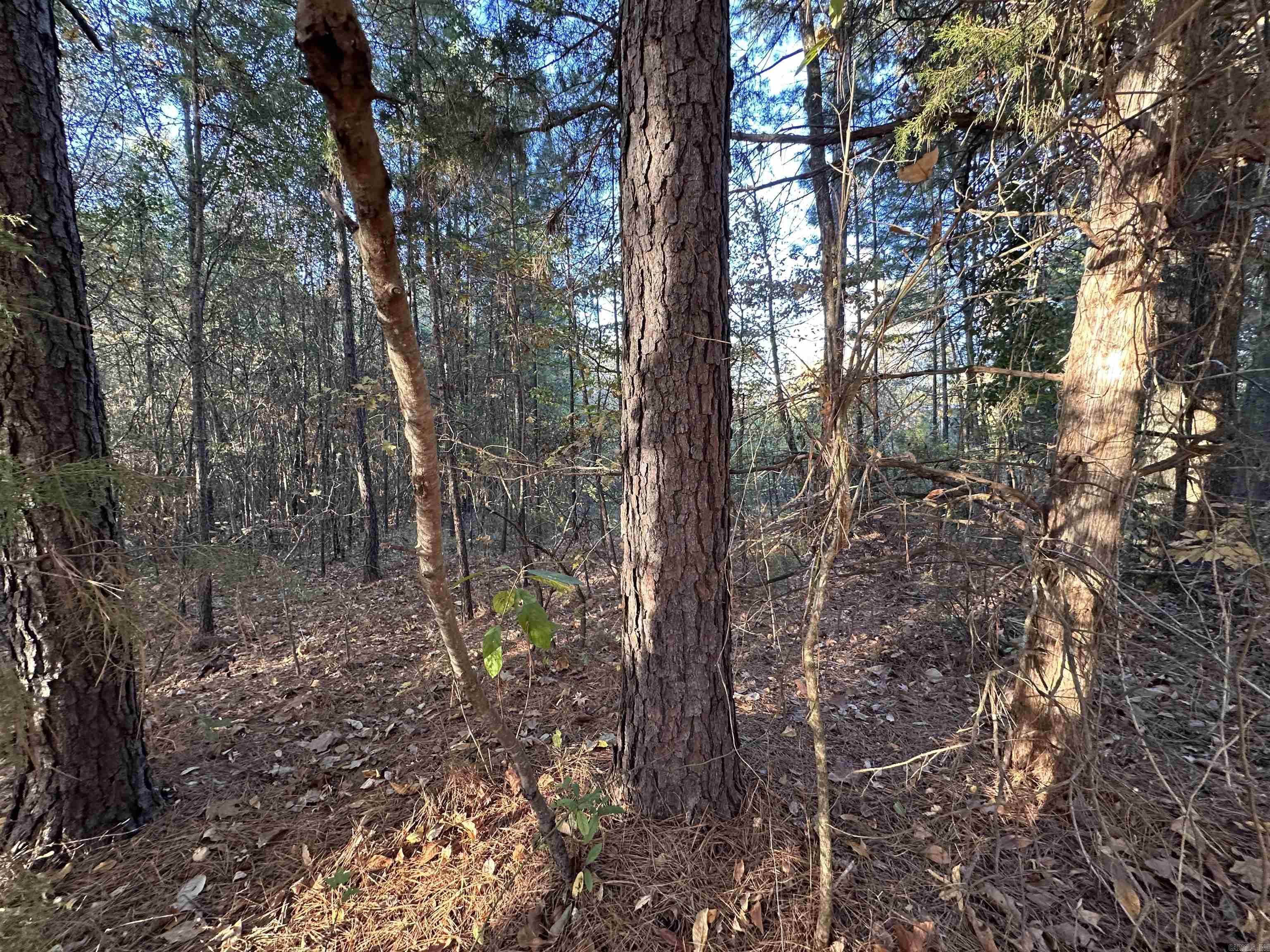 0 Co Rd 2117  Douglassville, TX