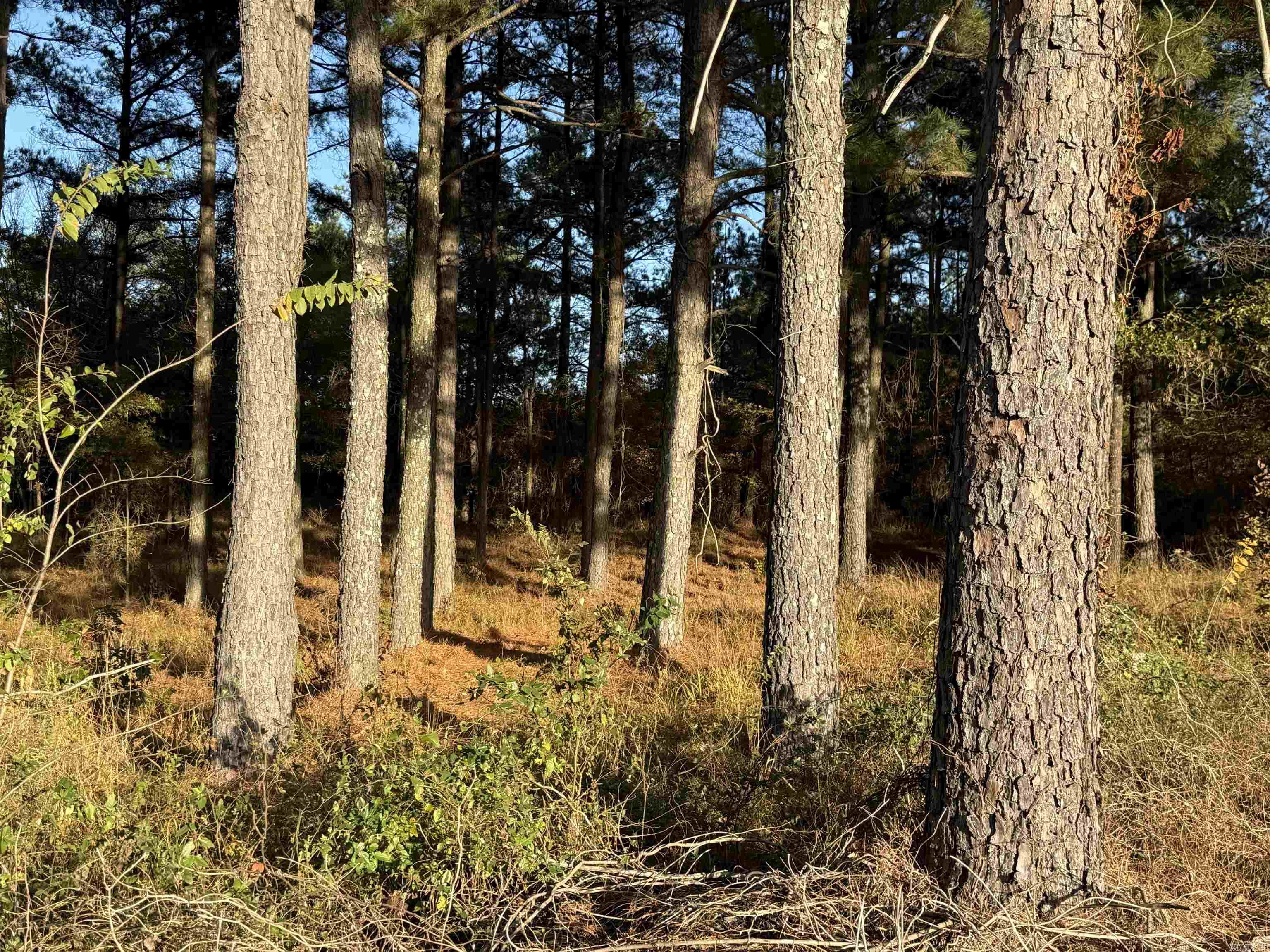 24712 S Highway 5  Hot Springs Village, AR