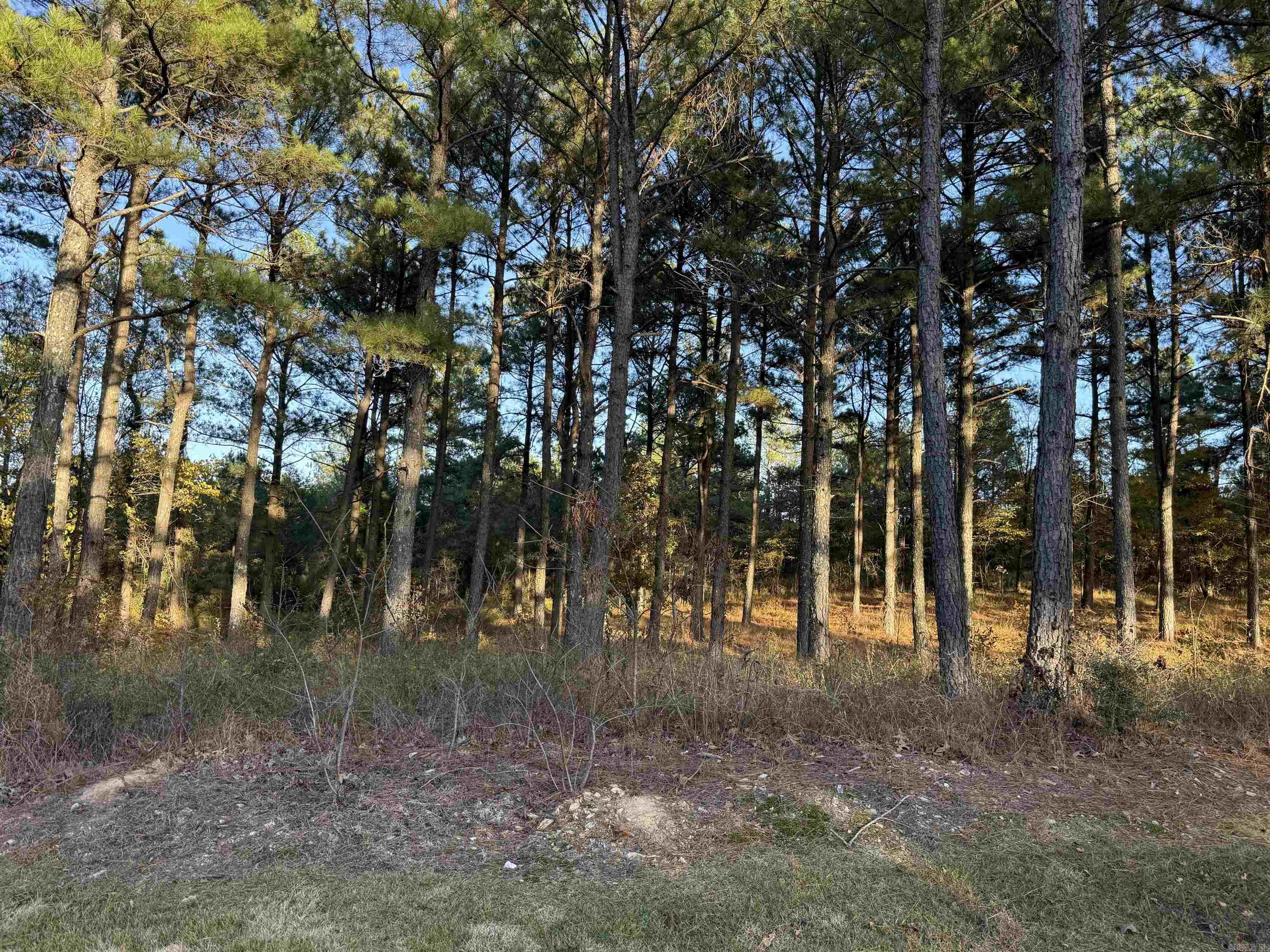 24712 S Highway 5  Hot Springs Village, AR