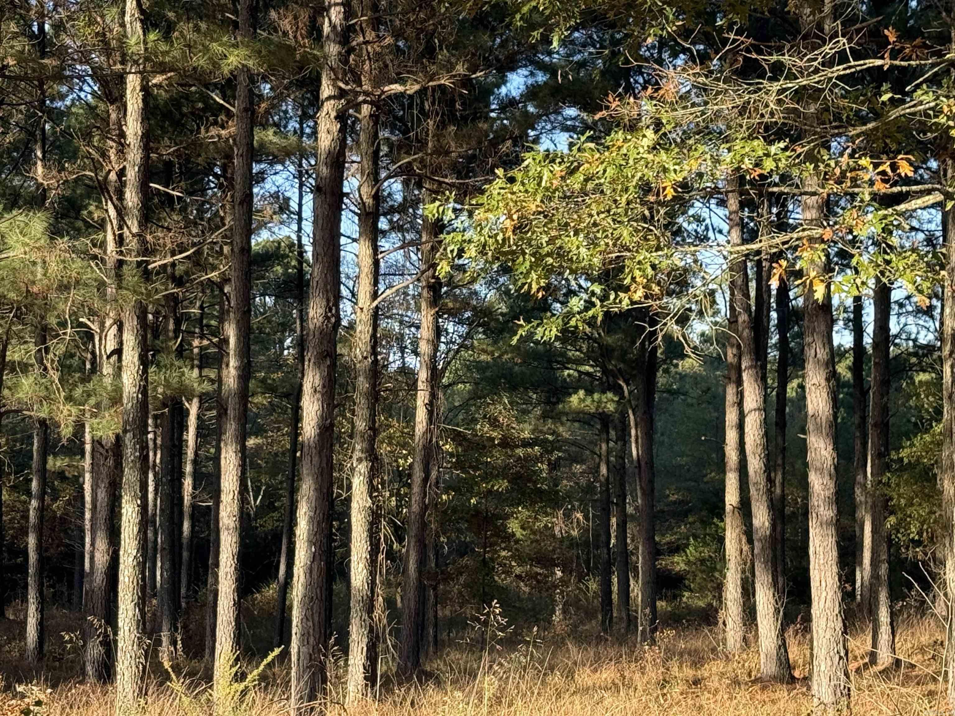 24712 S Highway 5  Hot Springs Village, AR