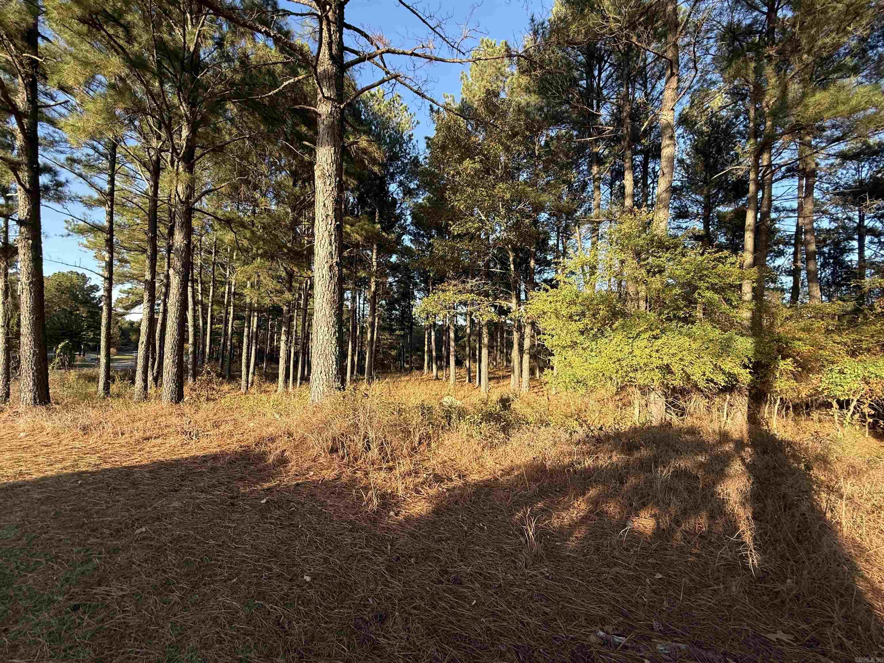 24712 S Highway 5  Hot Springs Village, AR