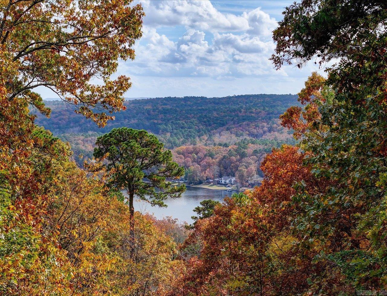 9 Sur Lane Hot Springs Village, AR 71909