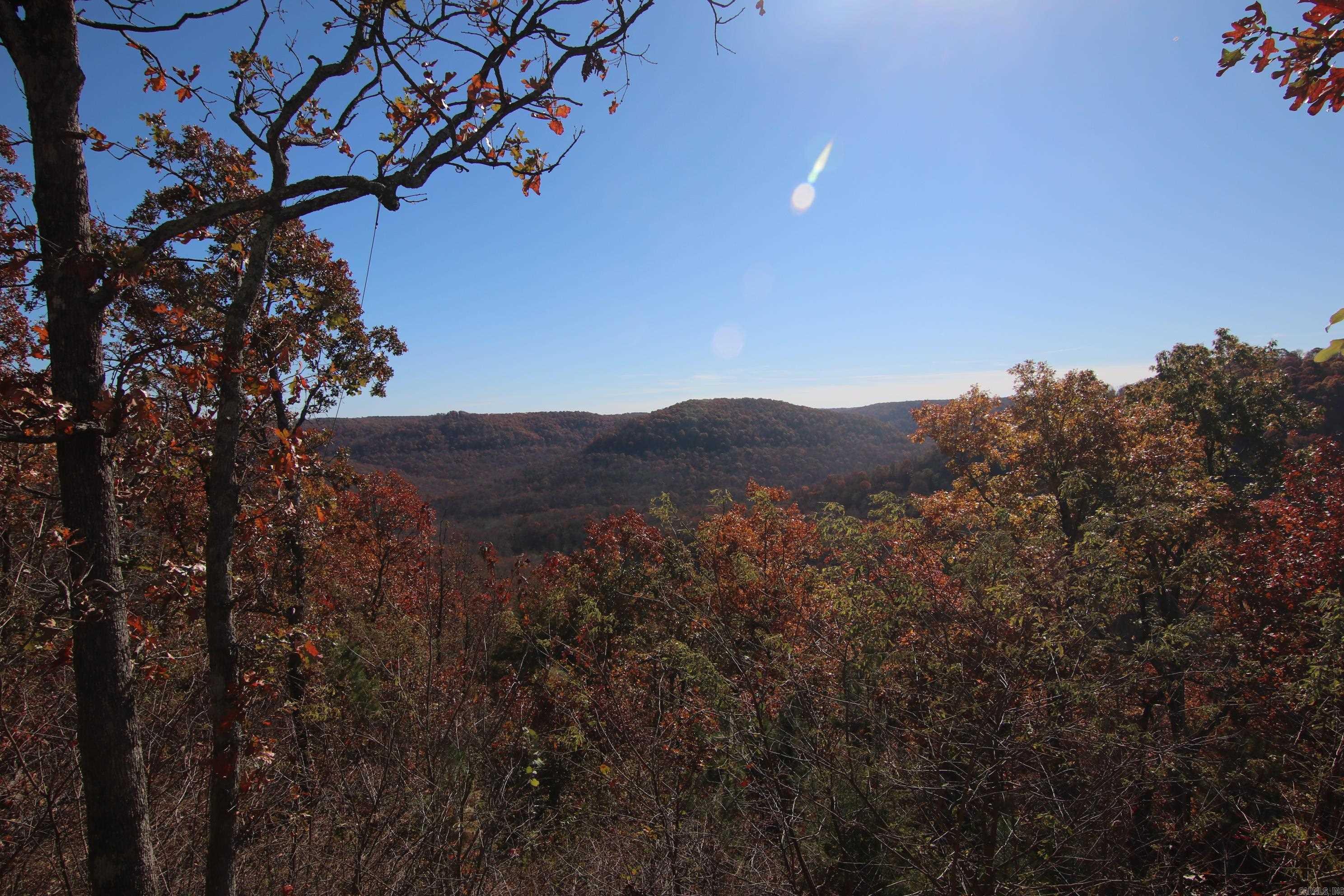 881 Aud  Witt Springs, AR