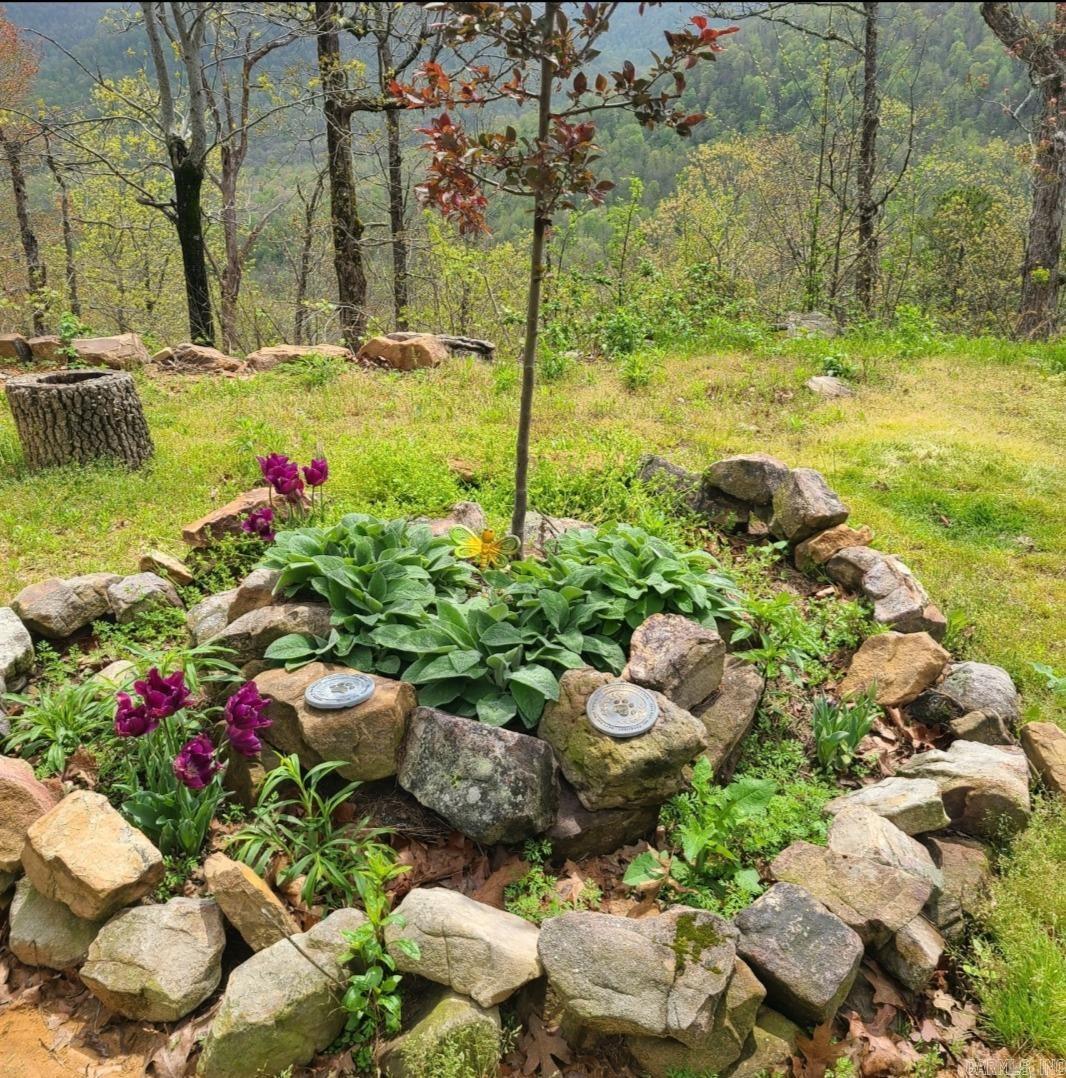 881 Aud  Witt Springs, AR