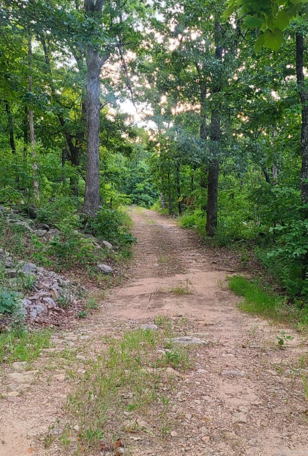 881 Aud  Witt Springs, AR