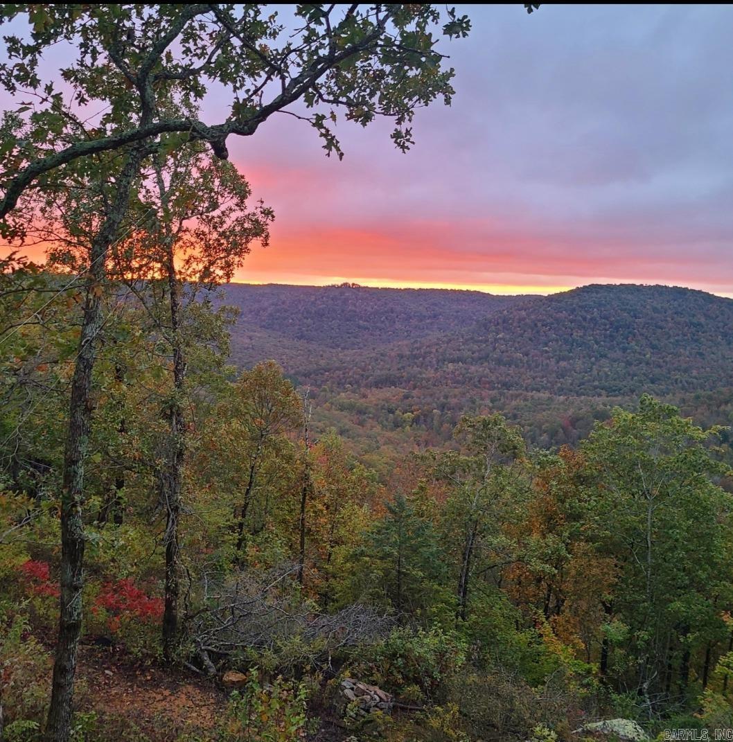 881 Aud  Witt Springs, AR