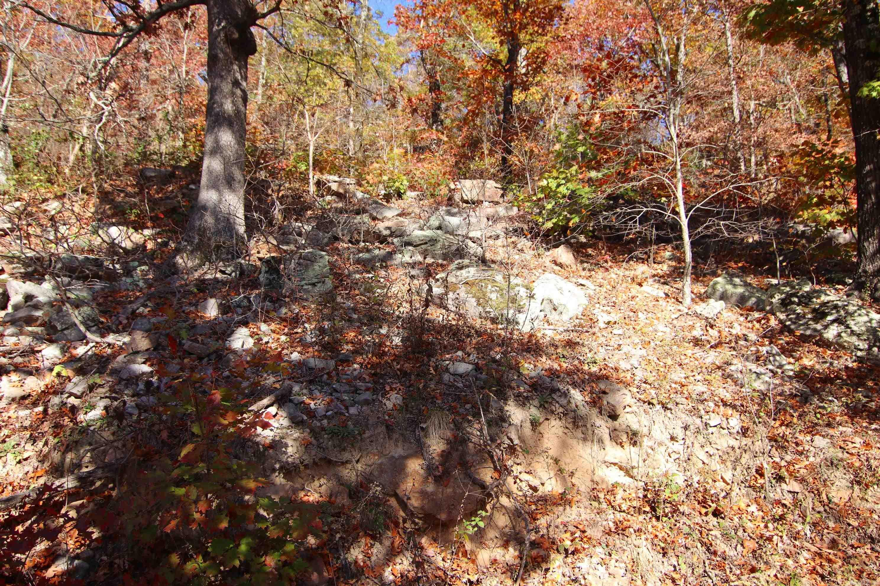 881 Aud  Witt Springs, AR