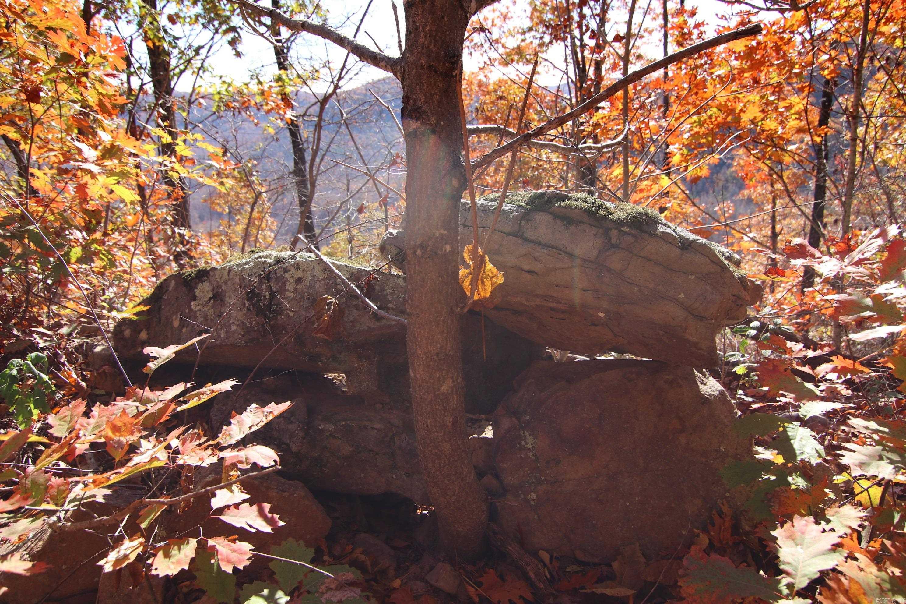 881 Aud  Witt Springs, AR