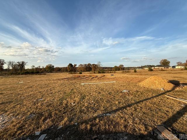 10 Republican Meadow Lane Greenbrier, AR 72058