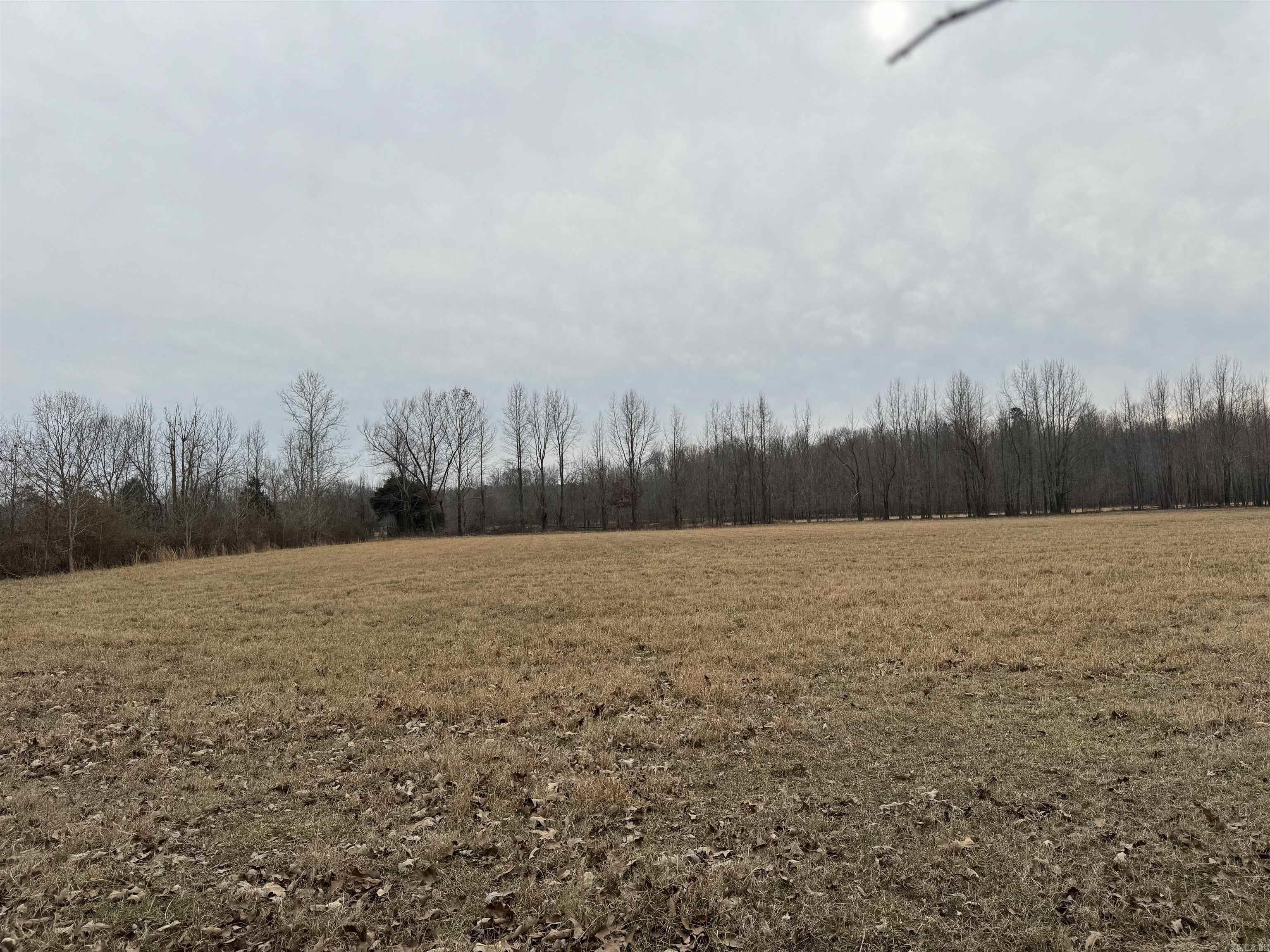 TBD Greene 611 Rd  Paragould, AR