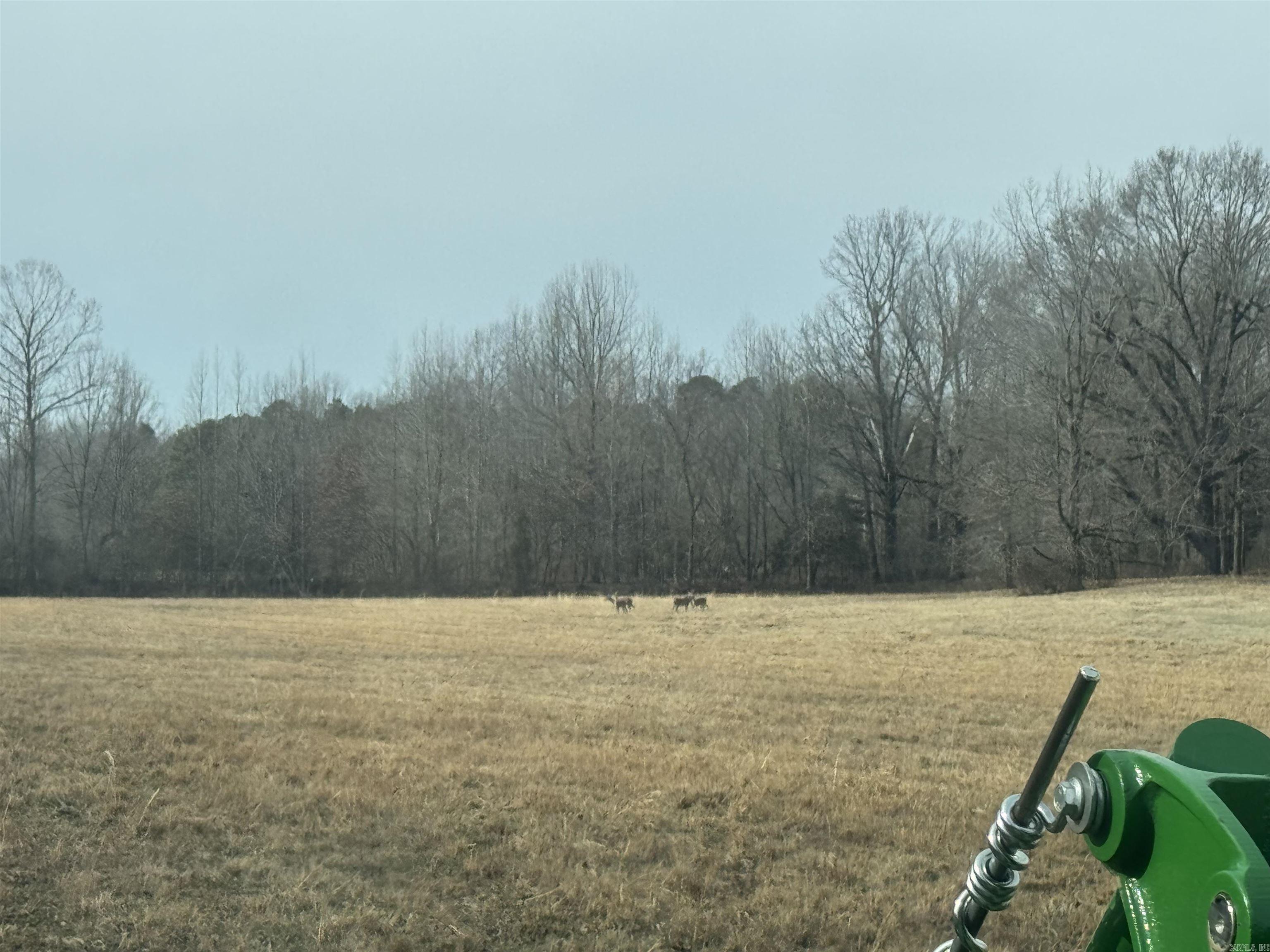 TBD Greene 611 Rd  Paragould, AR