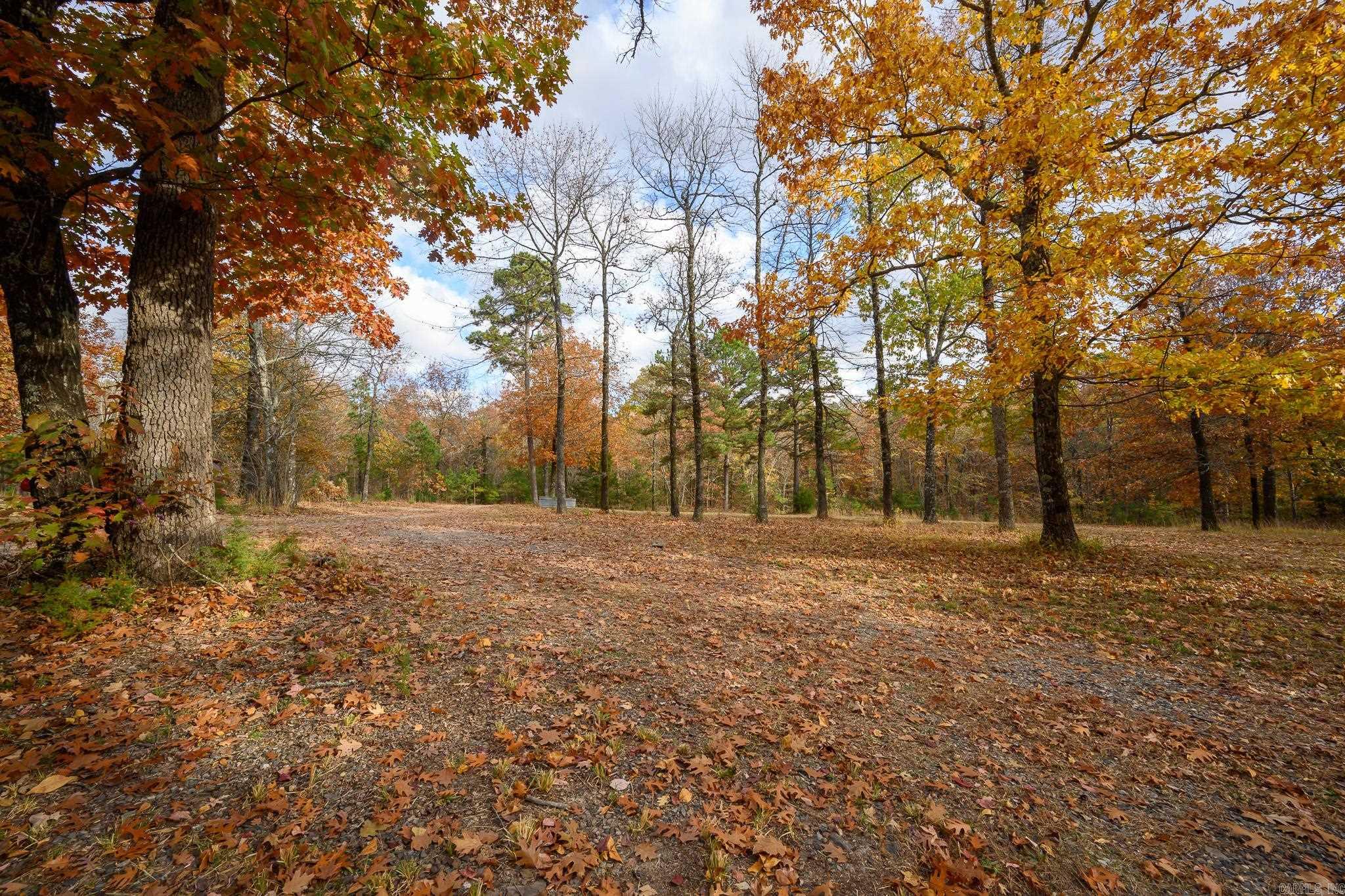 211 Simolin Lane Mena, AR 71953