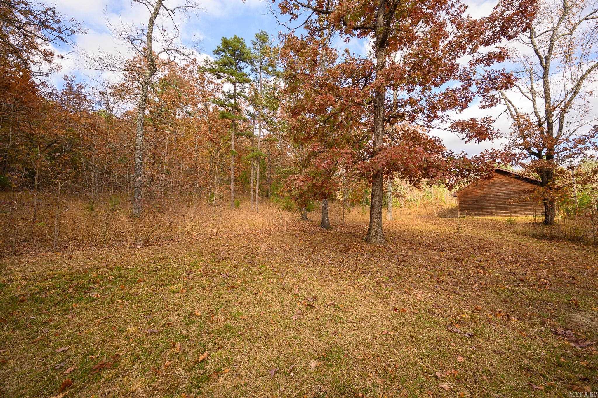 211 Simolin Lane Mena, AR 71953