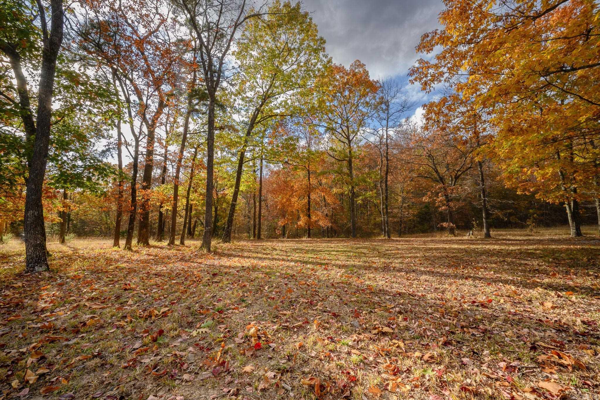 211 Simolin Lane Mena, AR 71953