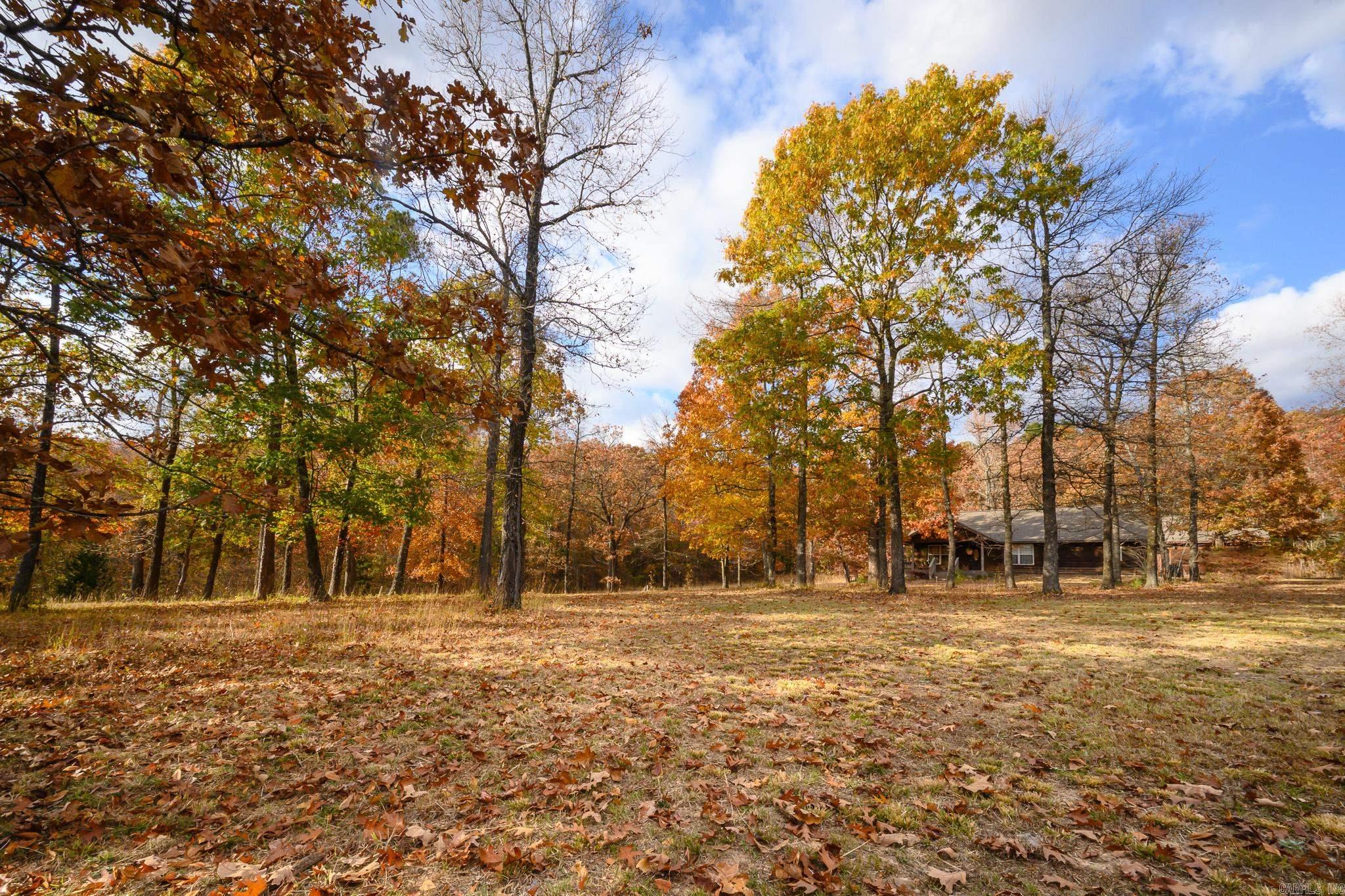 211 Simolin Lane Mena, AR 71953