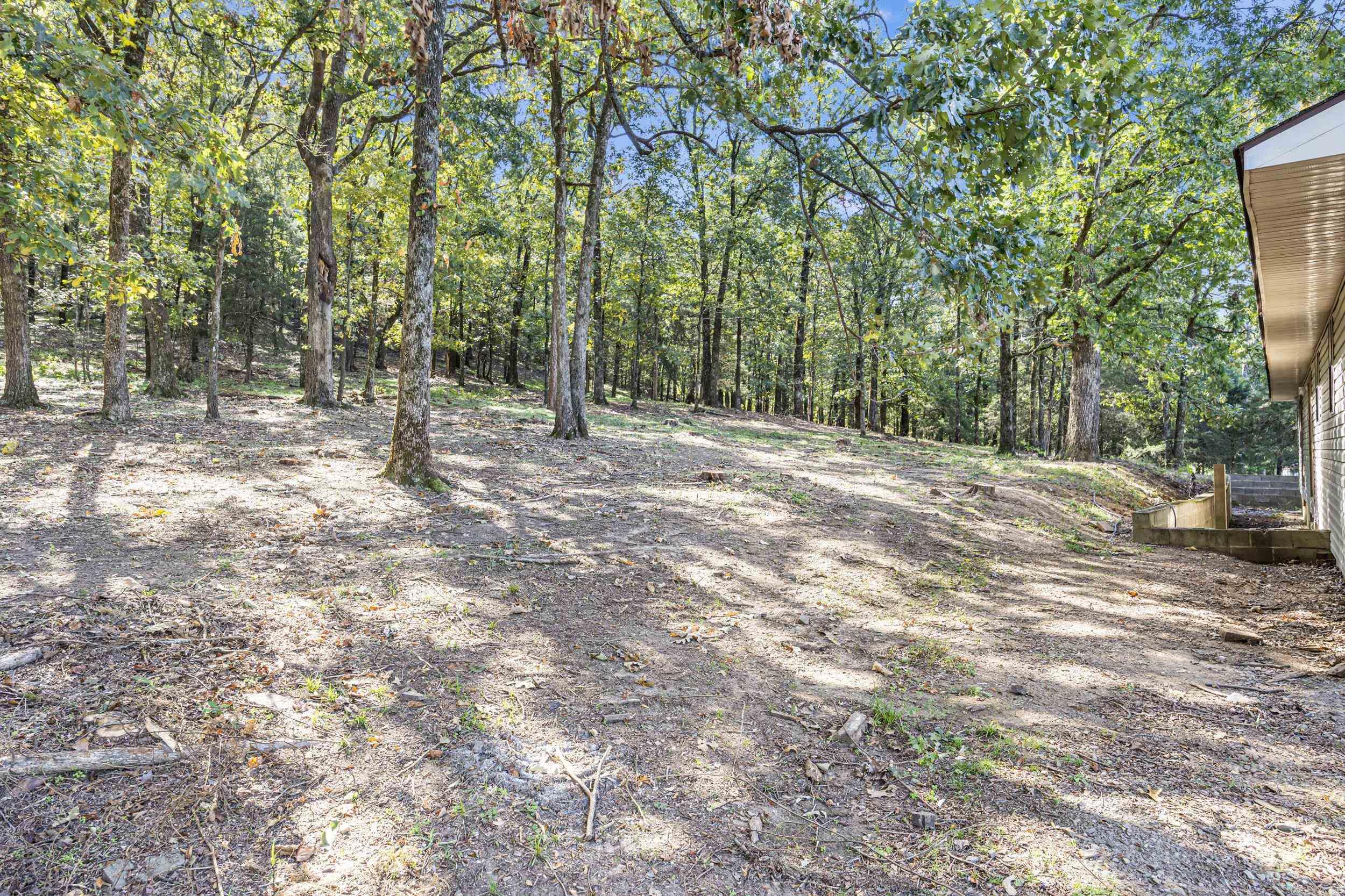 TRACT 1 - 13610 N SR 105 Hector, AR 72843