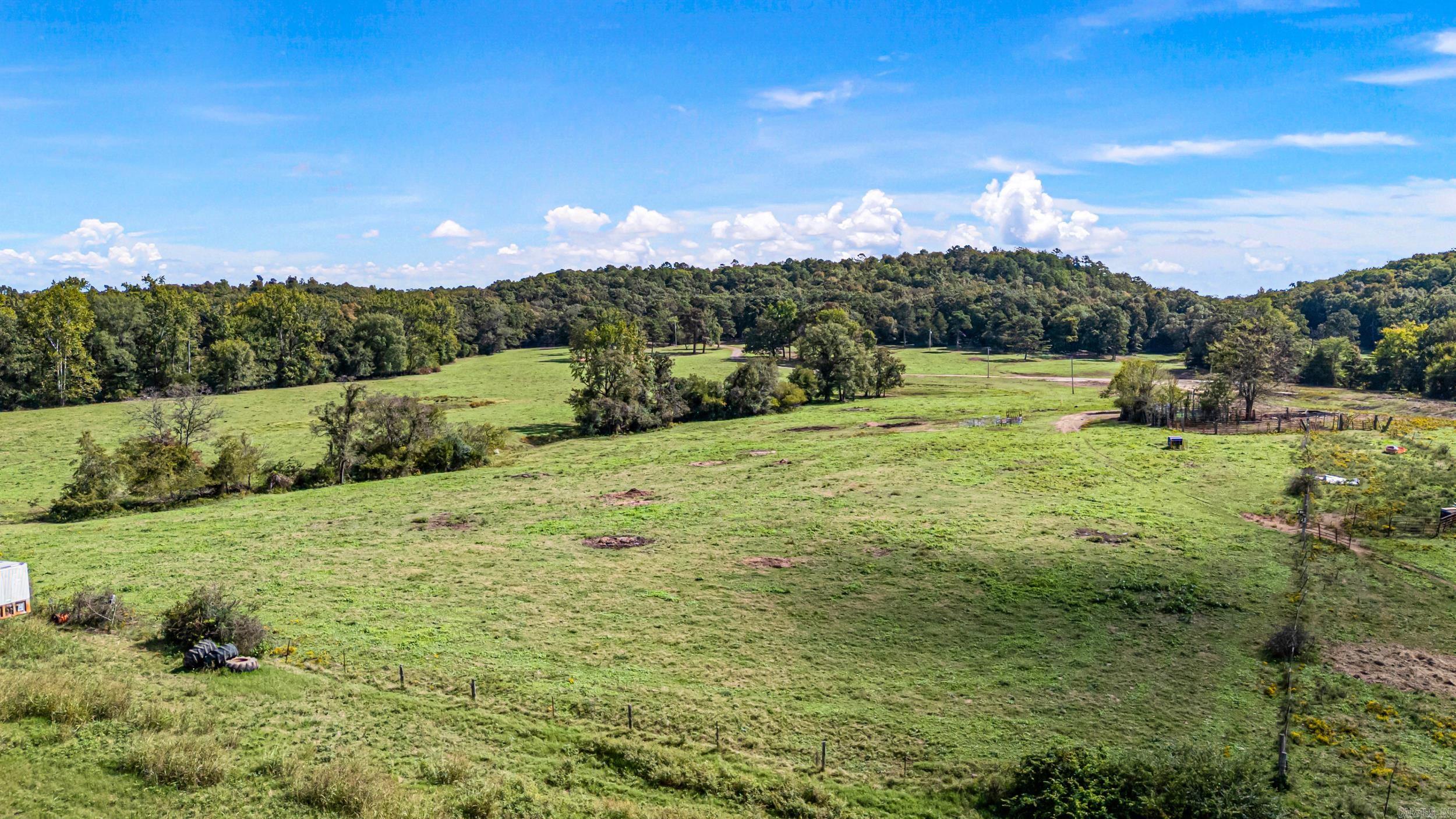 TRACT 1 - 13610 N SR 105 Hector, AR 72843