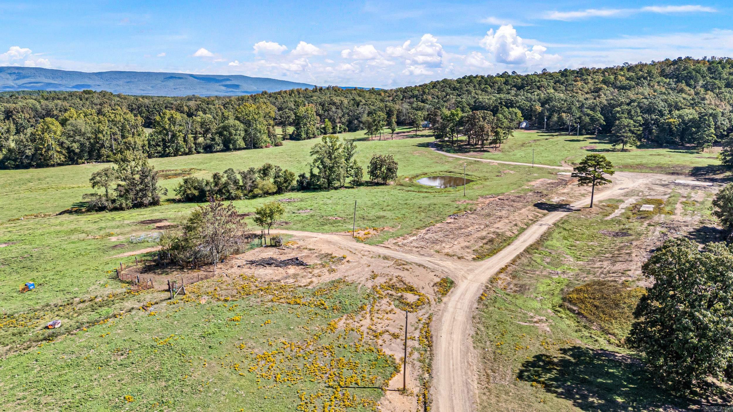 TRACT 1 - 13610 N SR 105 Hector, AR 72843