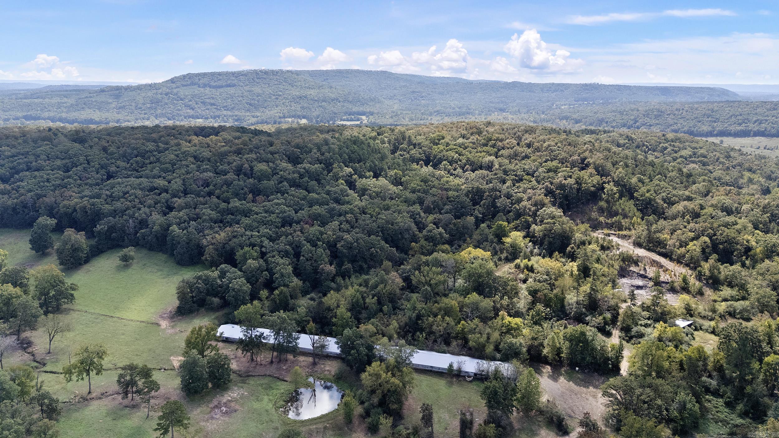 TRACT 1 - 13610 N SR 105 Hector, AR 72843