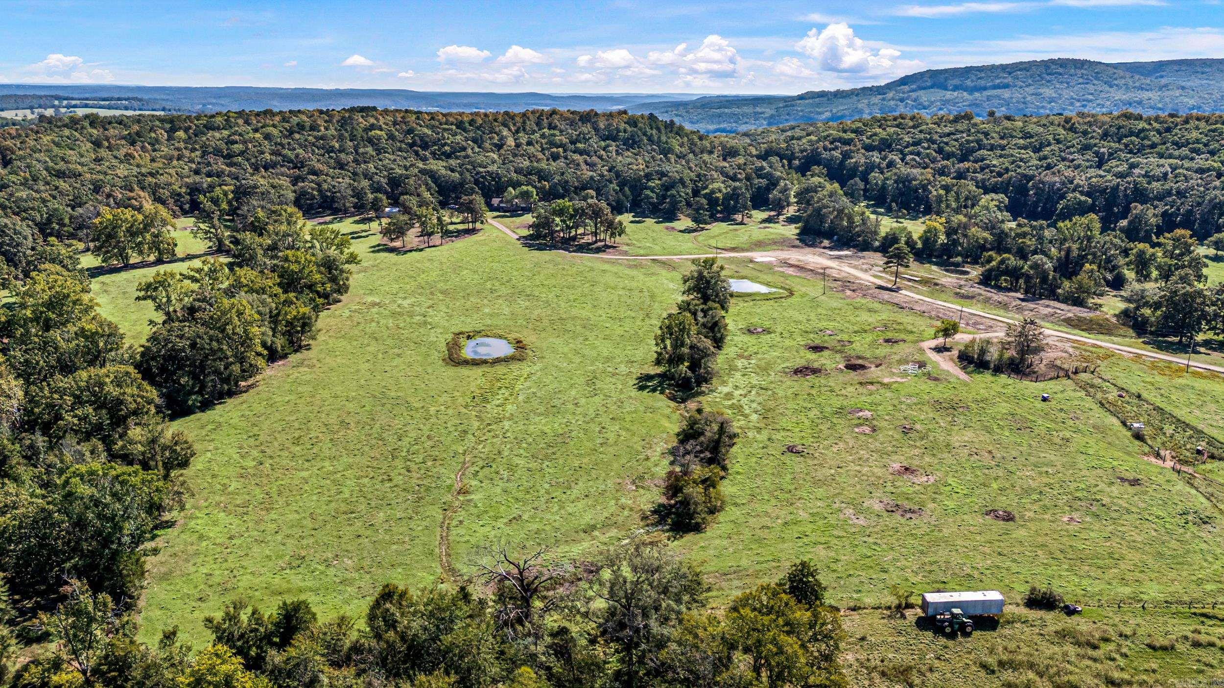 TRACT 1 - 13610 N SR 105 Hector, AR 72843