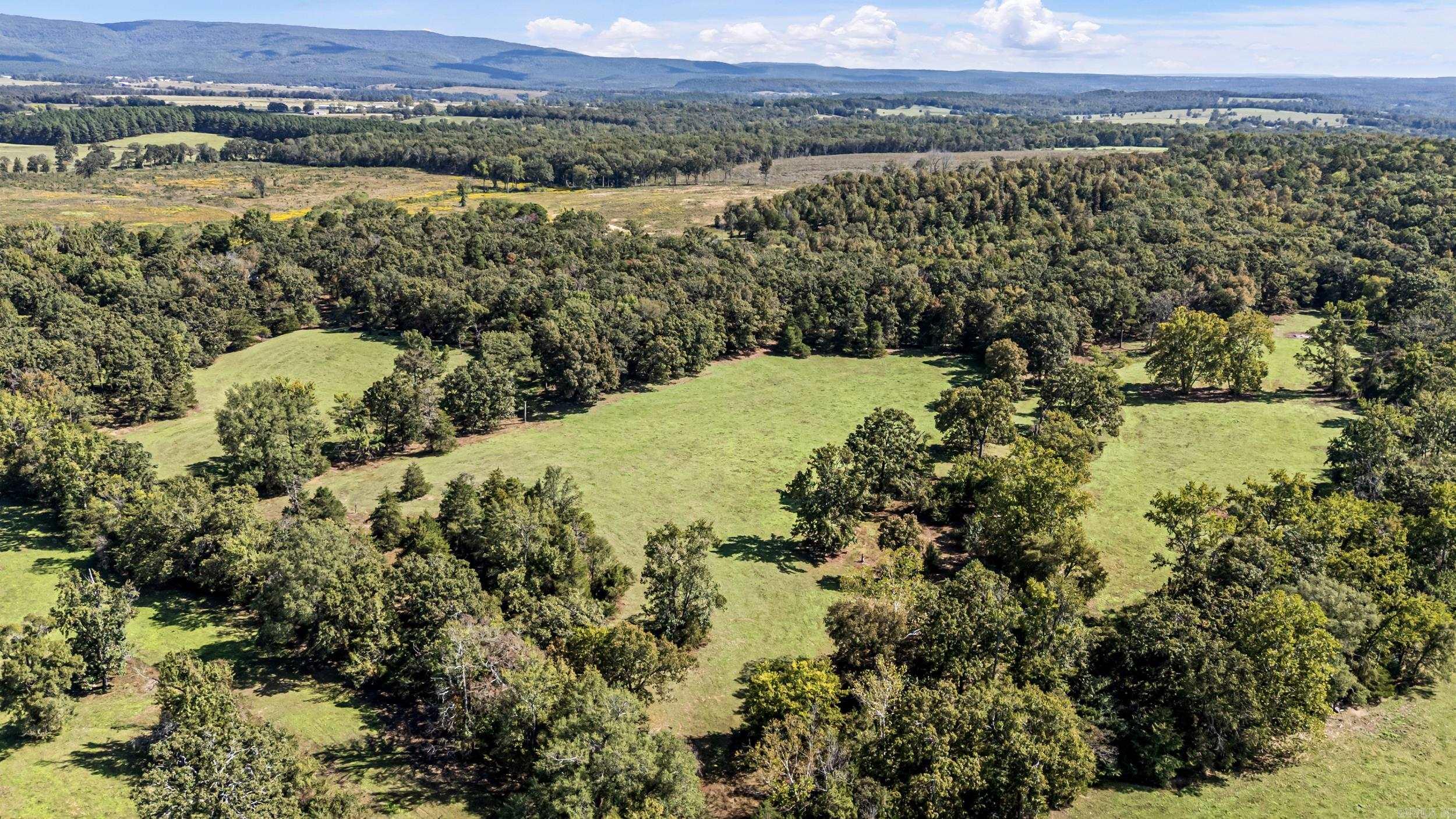 TRACT 1 - 13610 N SR 105 Hector, AR 72843