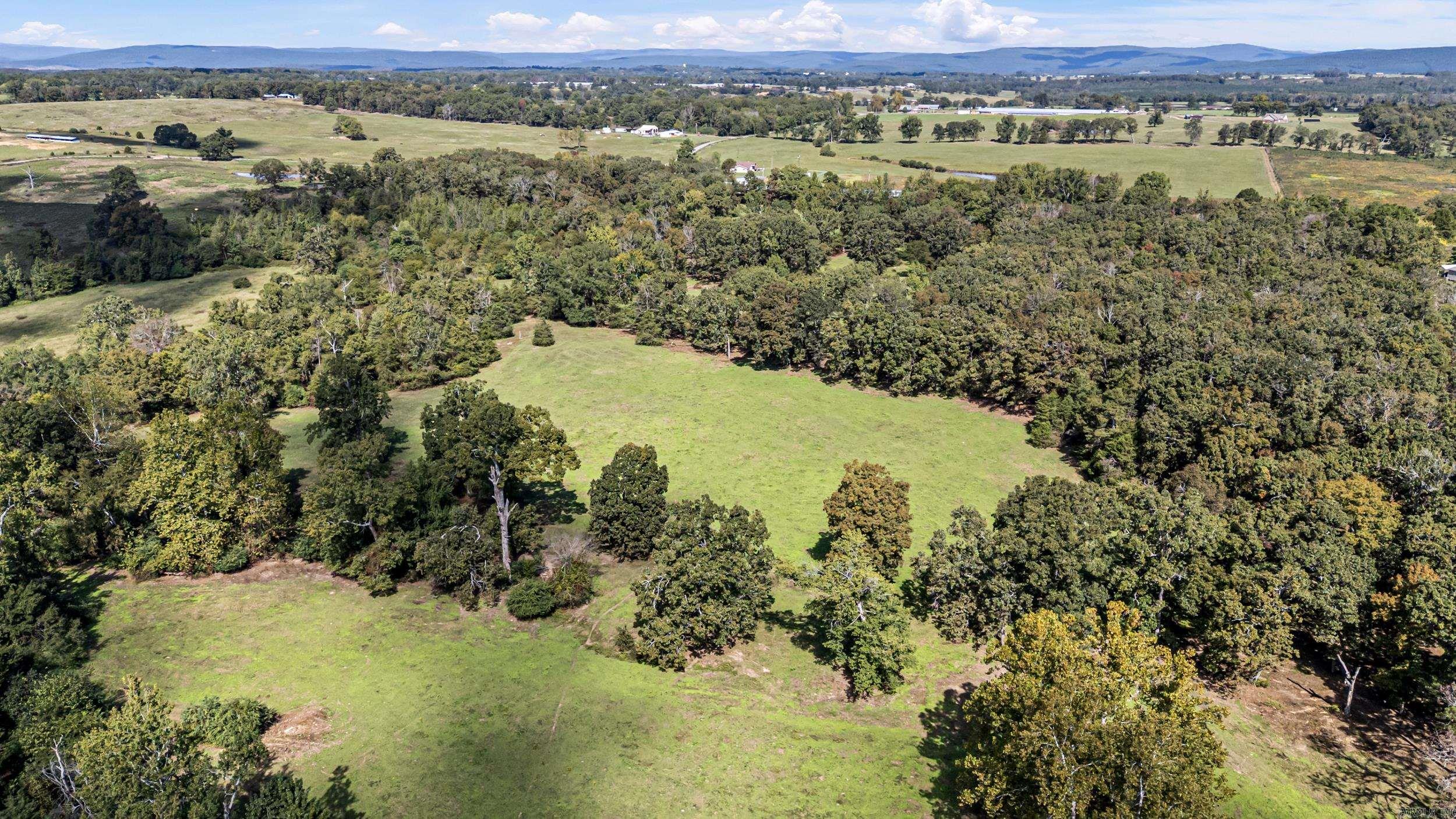 TRACT 1 - 13610 N SR 105 Hector, AR 72843