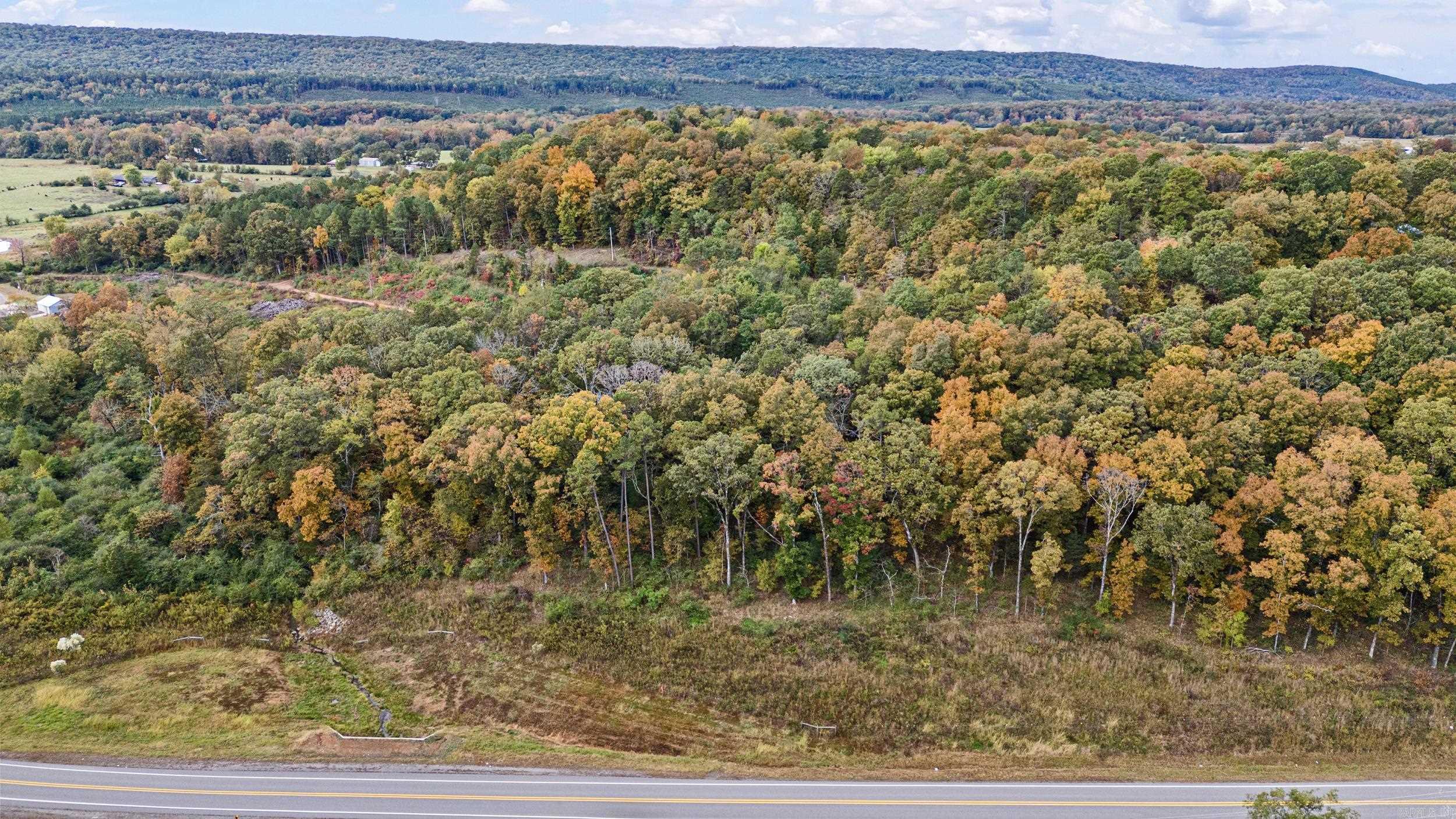 TRACT 4 - 13610 N SR 105  Hector, AR