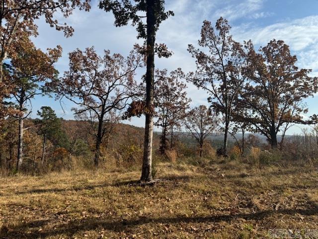 Lot 4B Ph.4 Orchard  Conway, AR