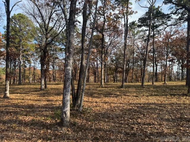 Lot 4C Ph. 4 Orchard  Conway, AR
