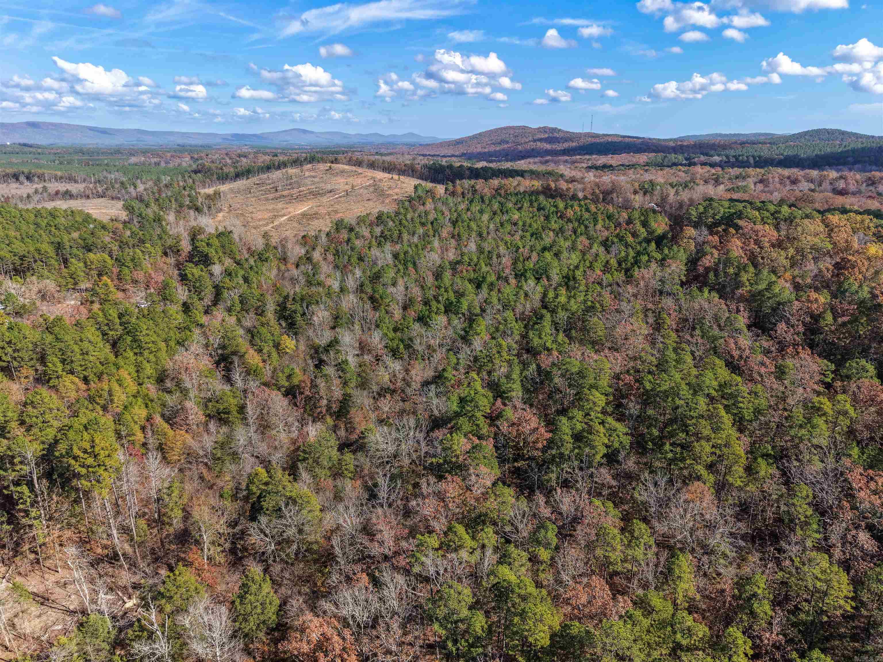 300 BLOCK OF Jimmie Coleman  Jessieville, AR