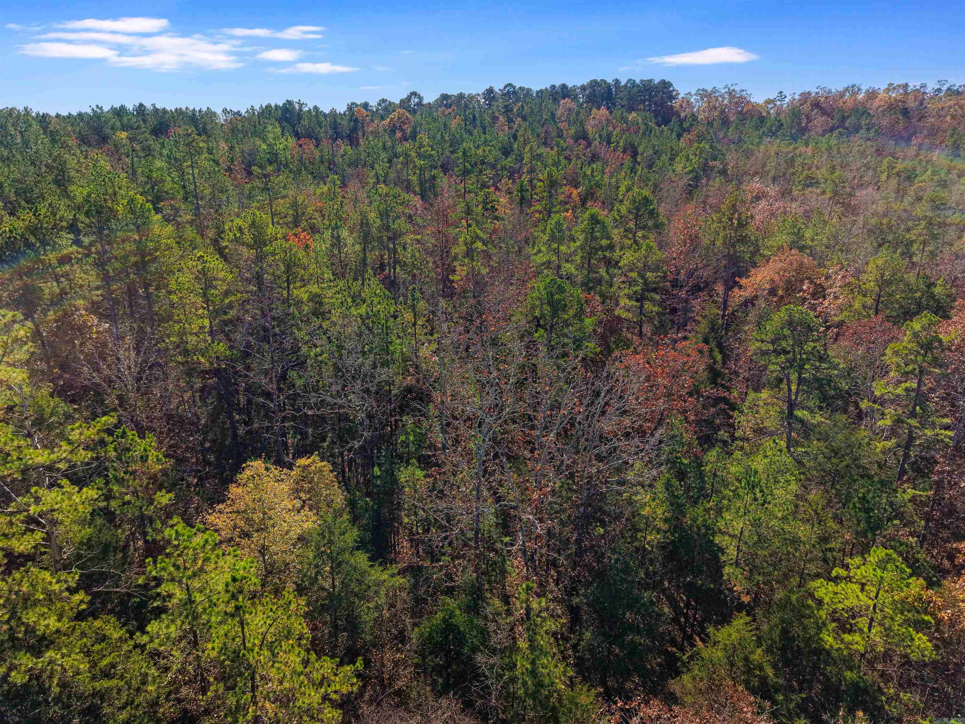 300 BLOCK OF Jimmie Coleman  Jessieville, AR