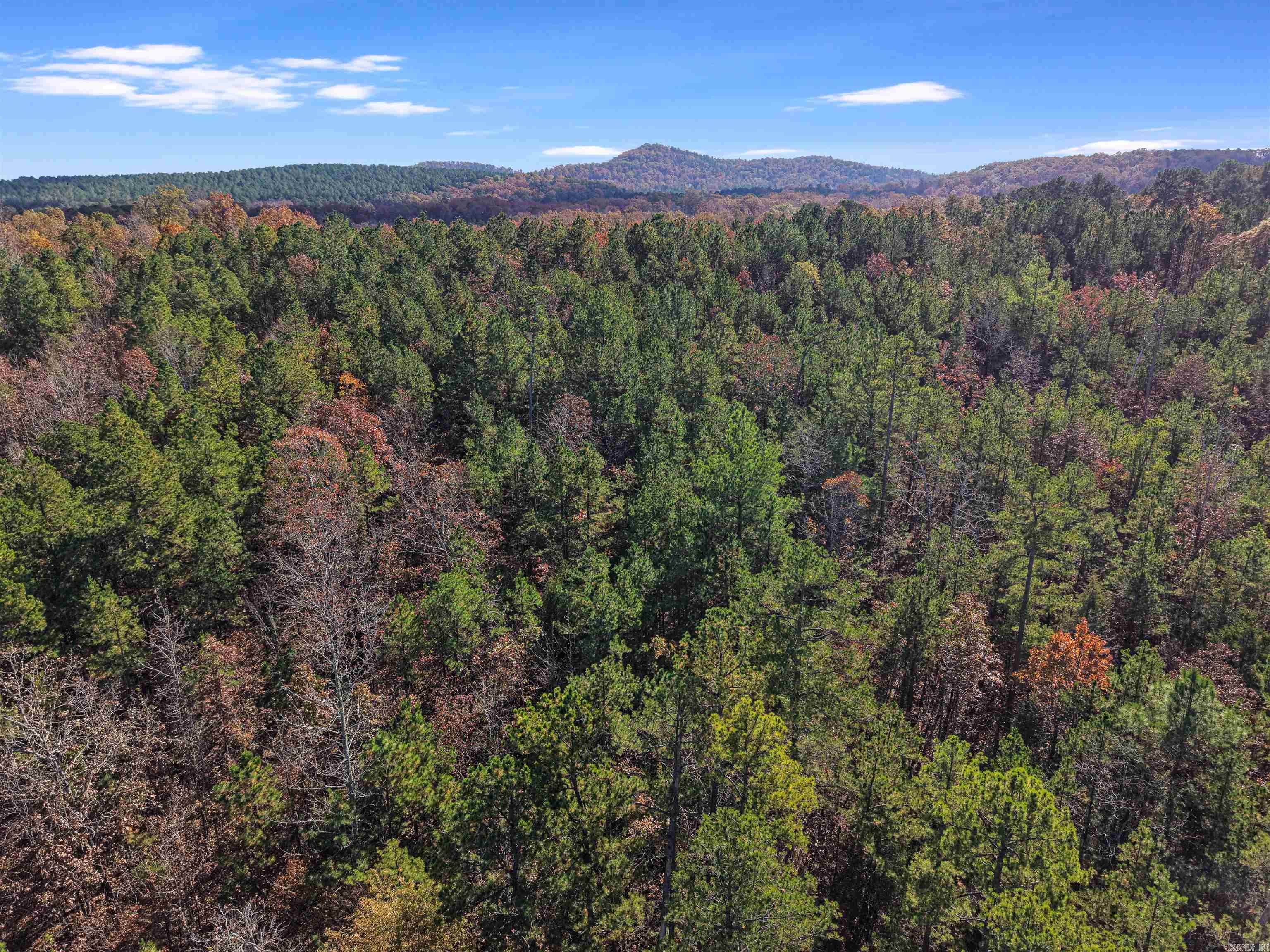 300 BLOCK OF Jimmie Coleman  Jessieville, AR