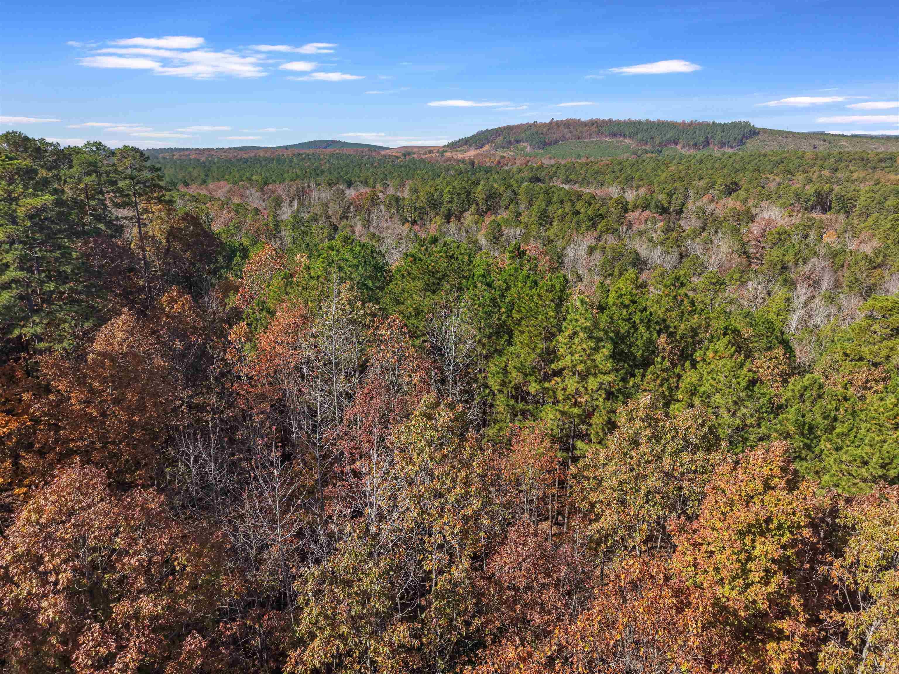 300 BLOCK OF Jimmie Coleman  Jessieville, AR