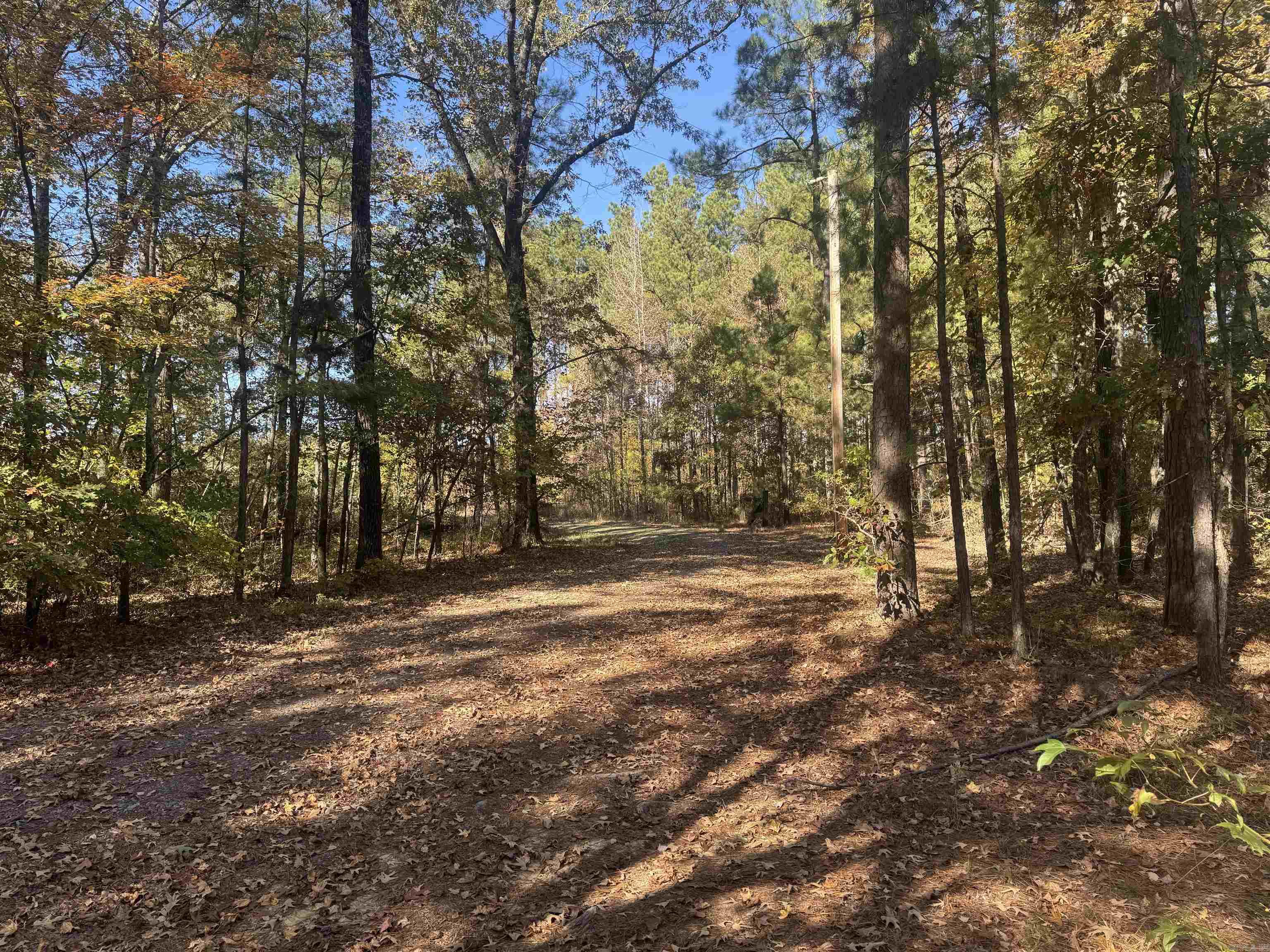 10875 Highway 133  Pine Bluff, AR