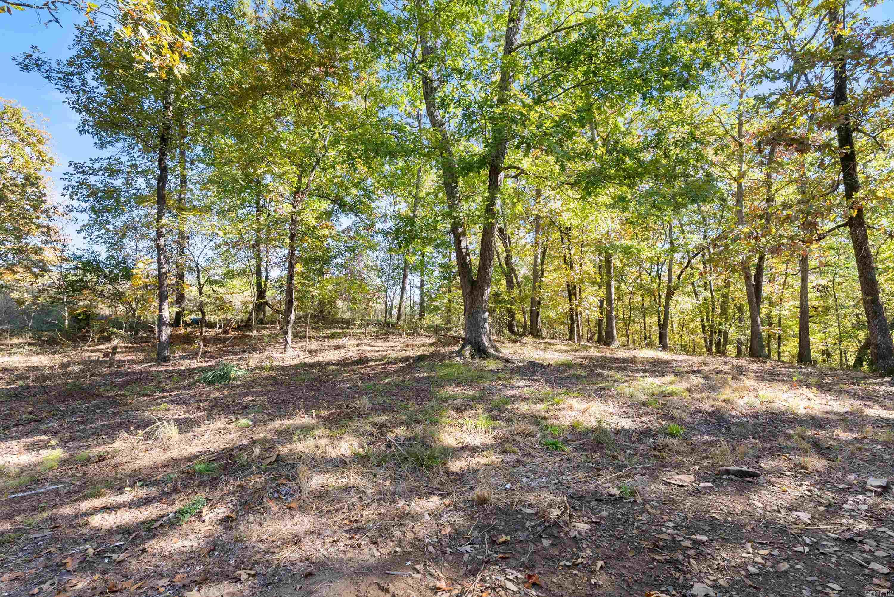 156 Pate Lane Hot Springs, AR 71901