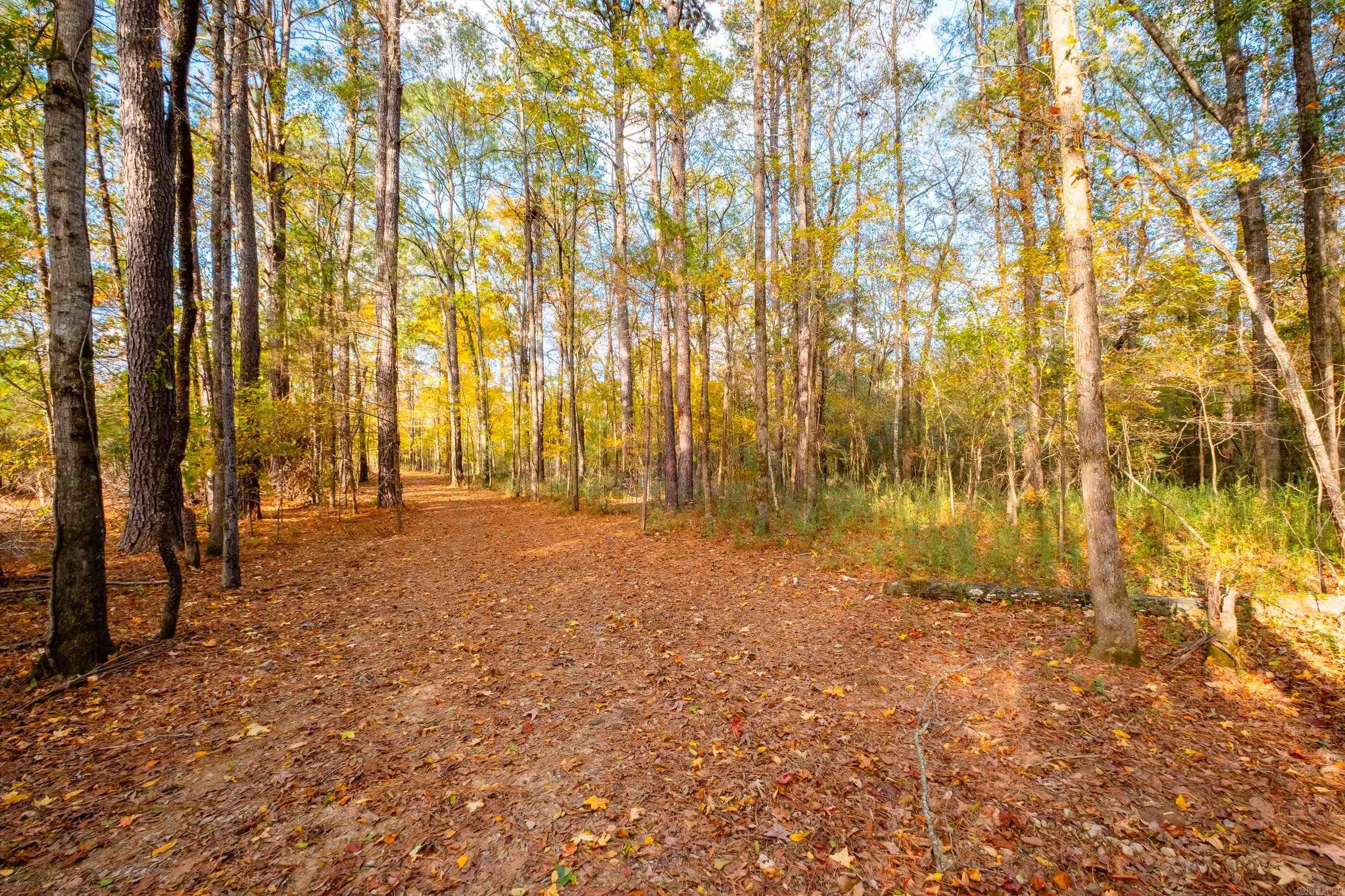 00 Timberlake Drive  Royal, AR