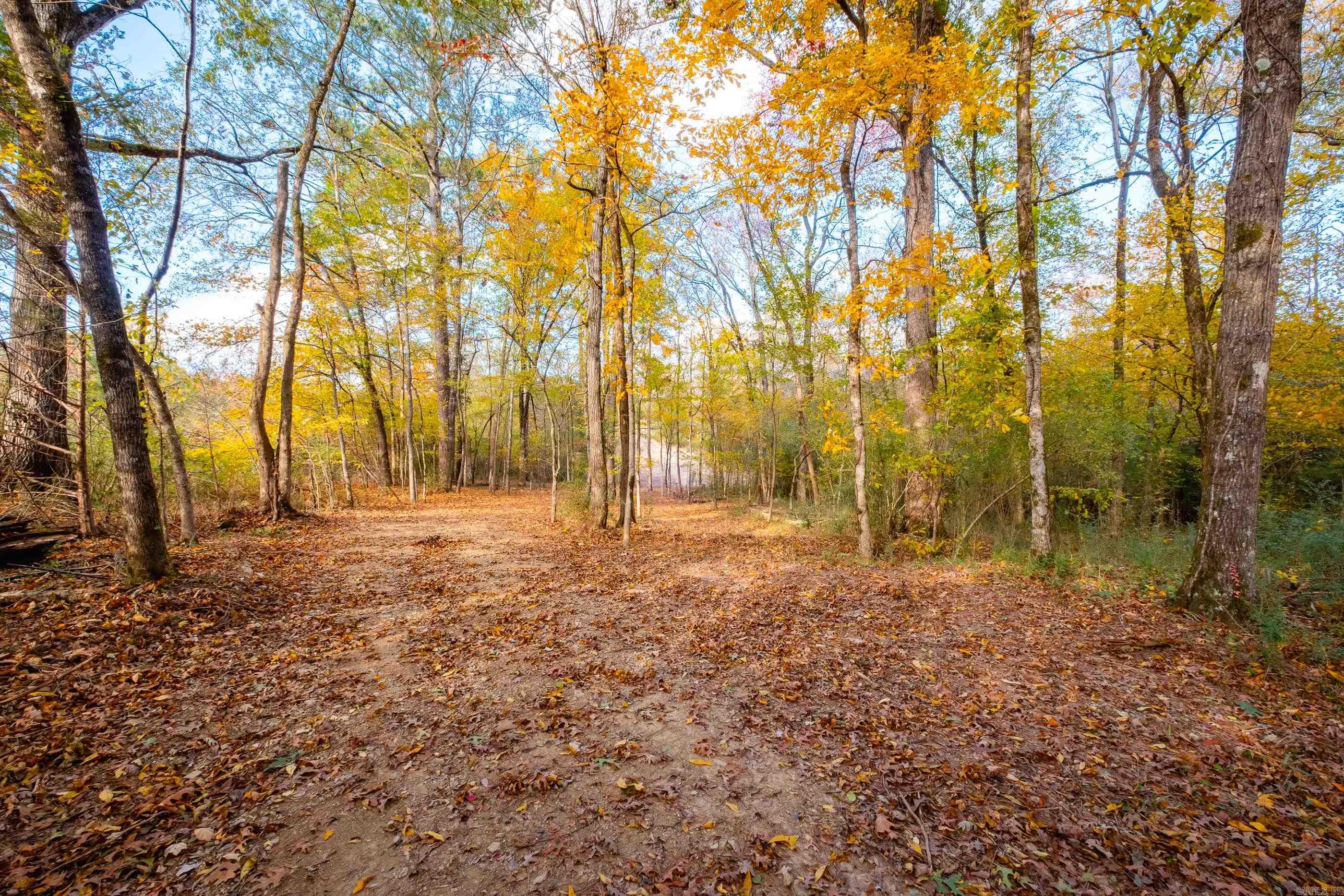 00 Timberlake Drive  Royal, AR