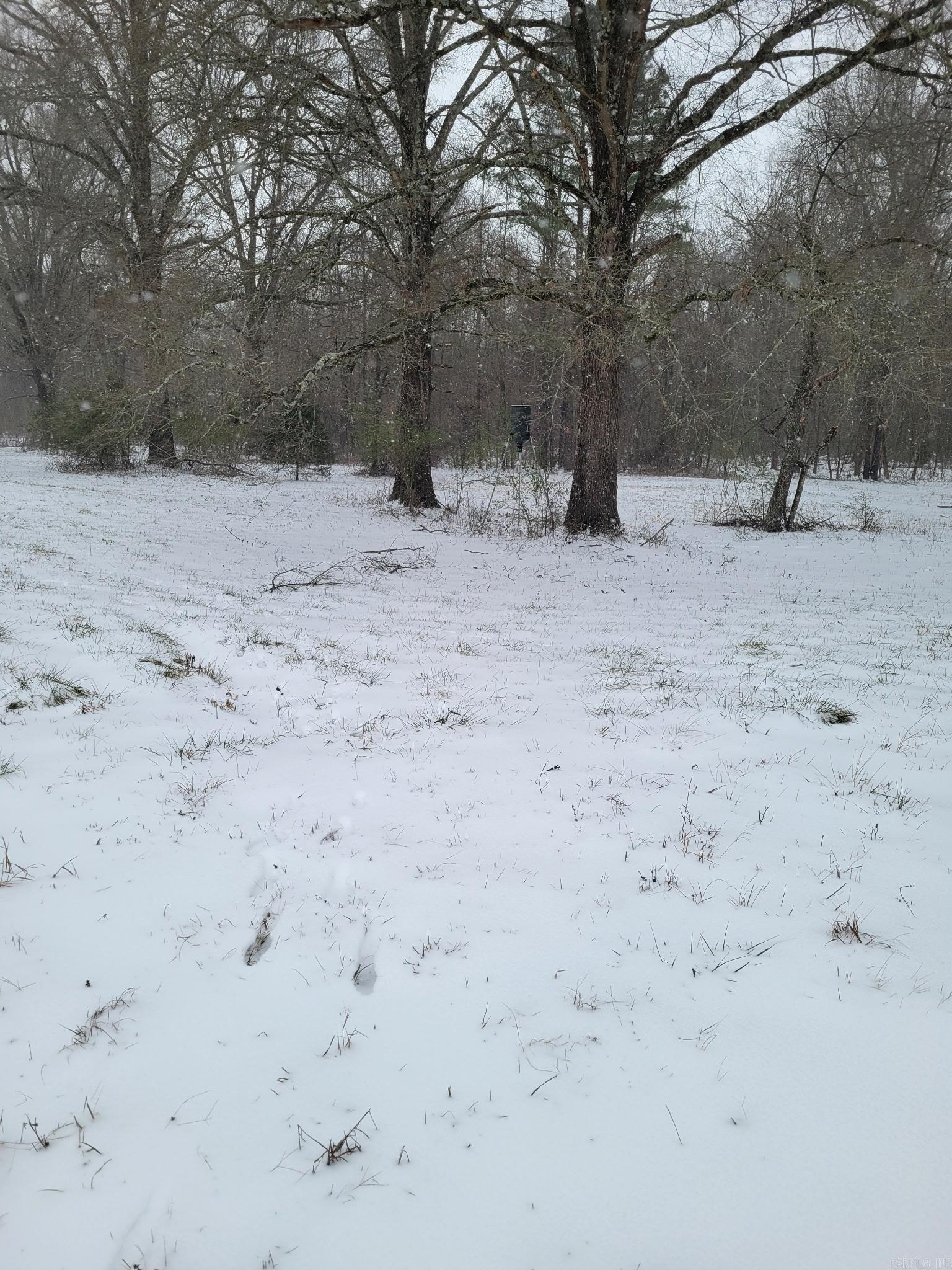 34 Springfield Rd Springfield, AR 72157