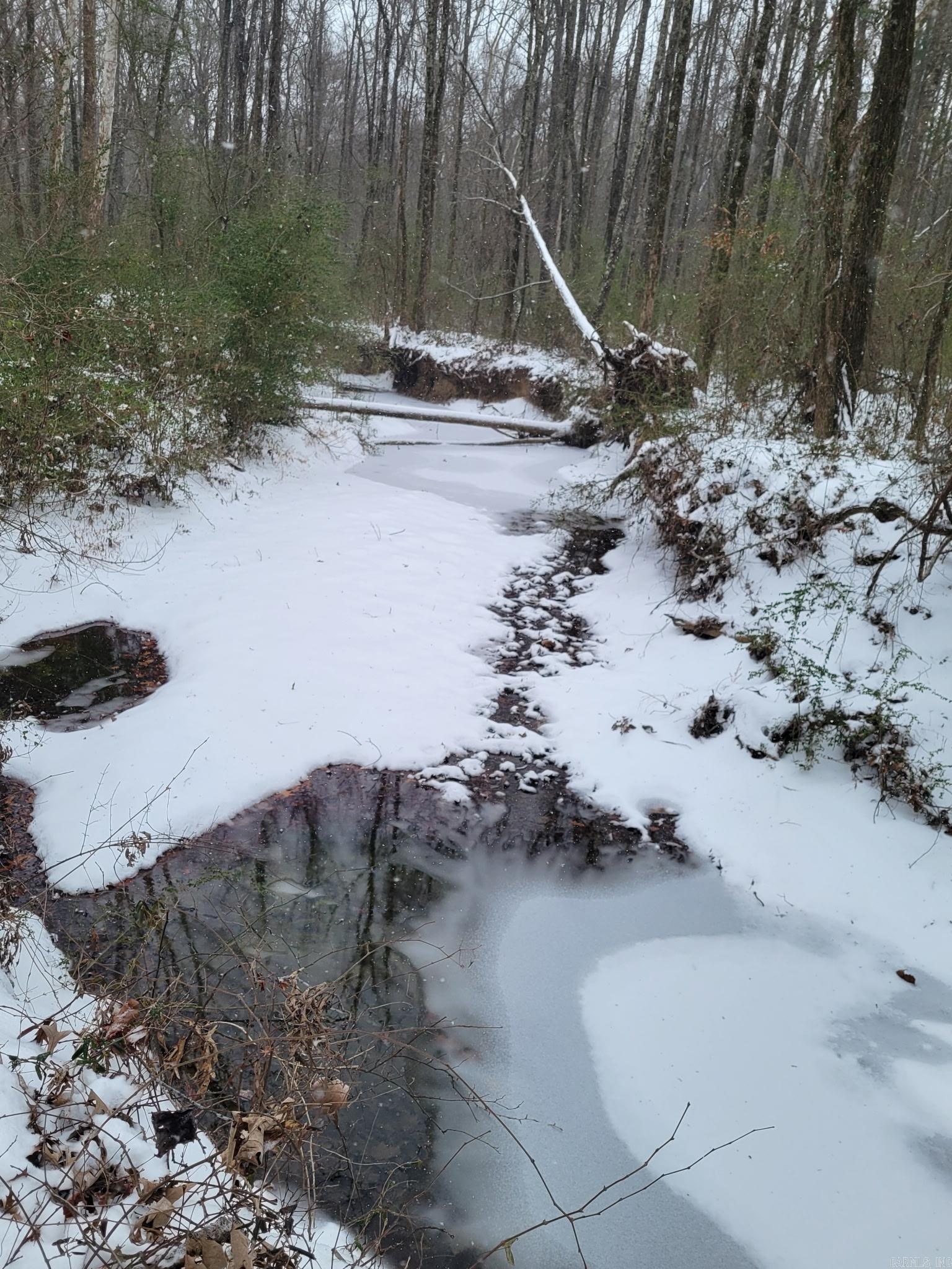 34 Springfield Rd Springfield, AR 72157