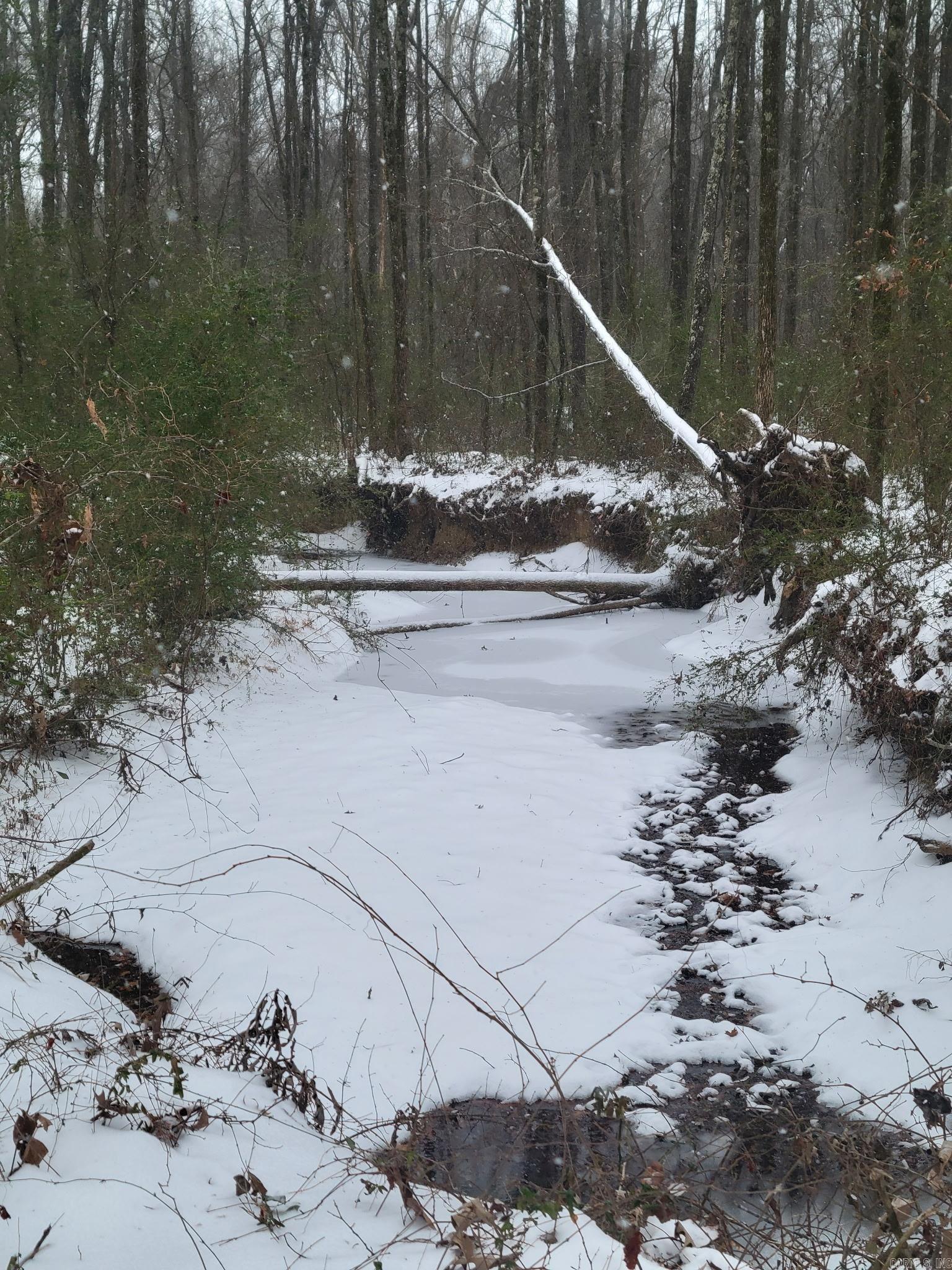 34 Springfield Rd Springfield, AR 72157