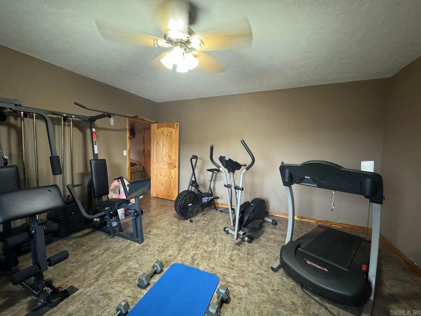 317 A Homer Bray  Mount Pleasant, AR