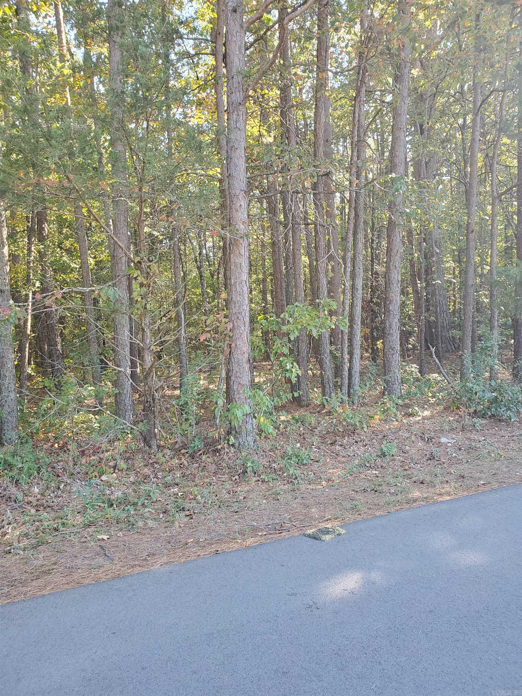 00 Country Wood Rd.  Quitman, AR