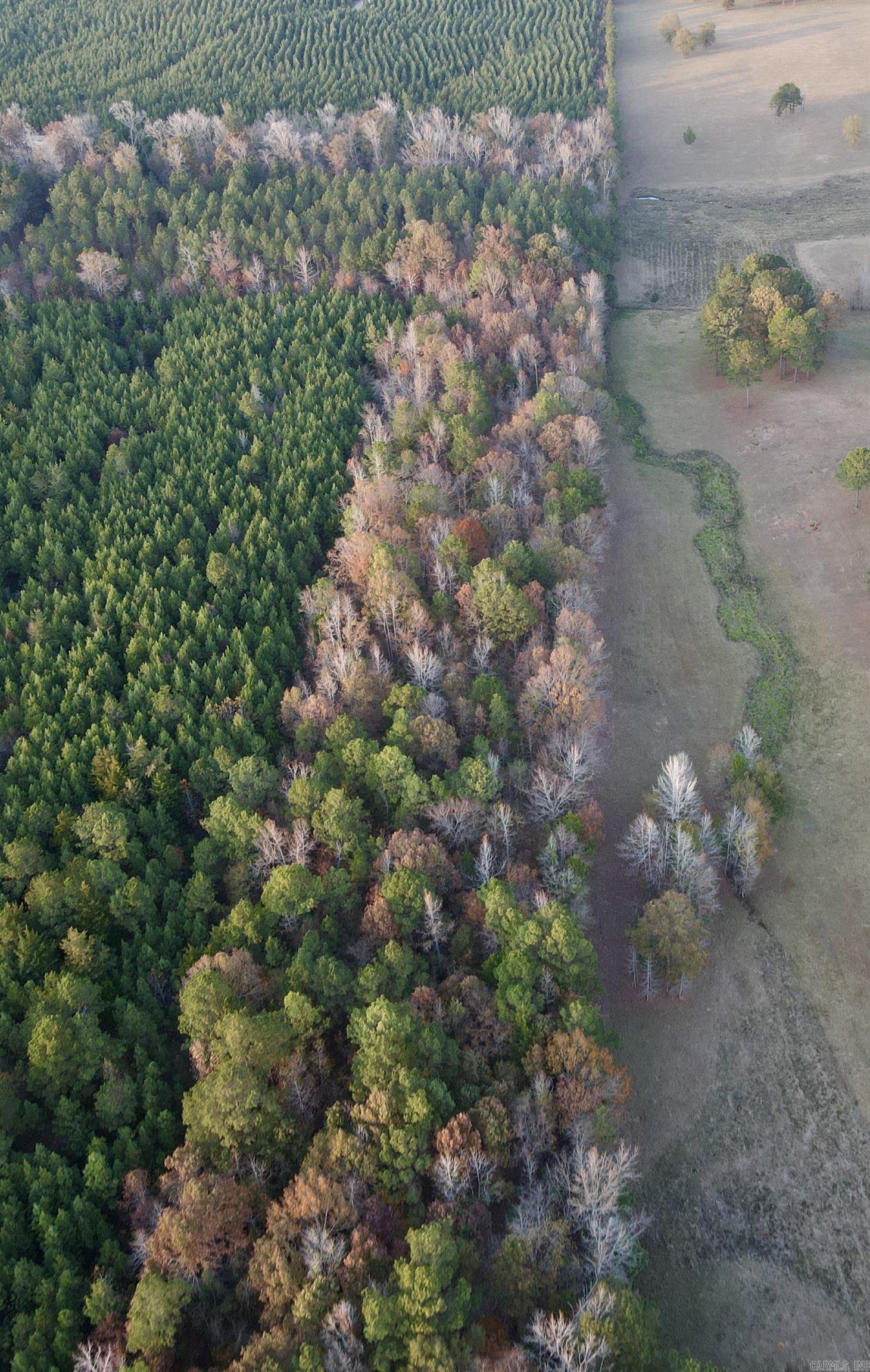 10957 Highway 160  Doddridge, AR