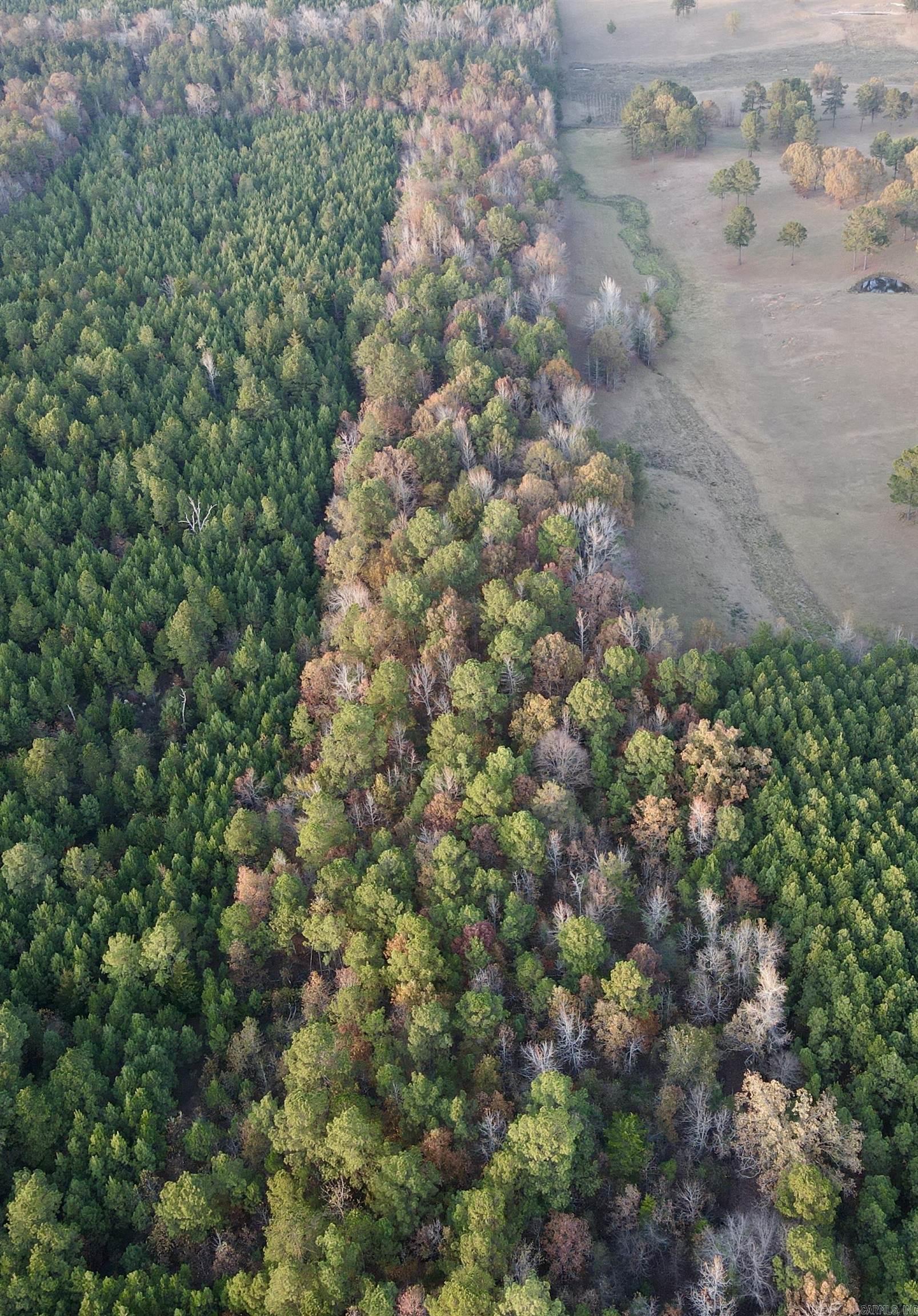 10957 Highway 160  Doddridge, AR