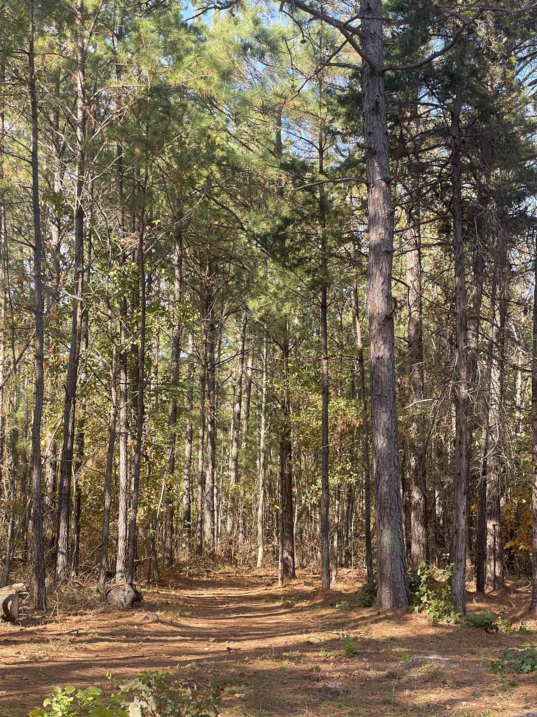 10957 Highway 160  Doddridge, AR