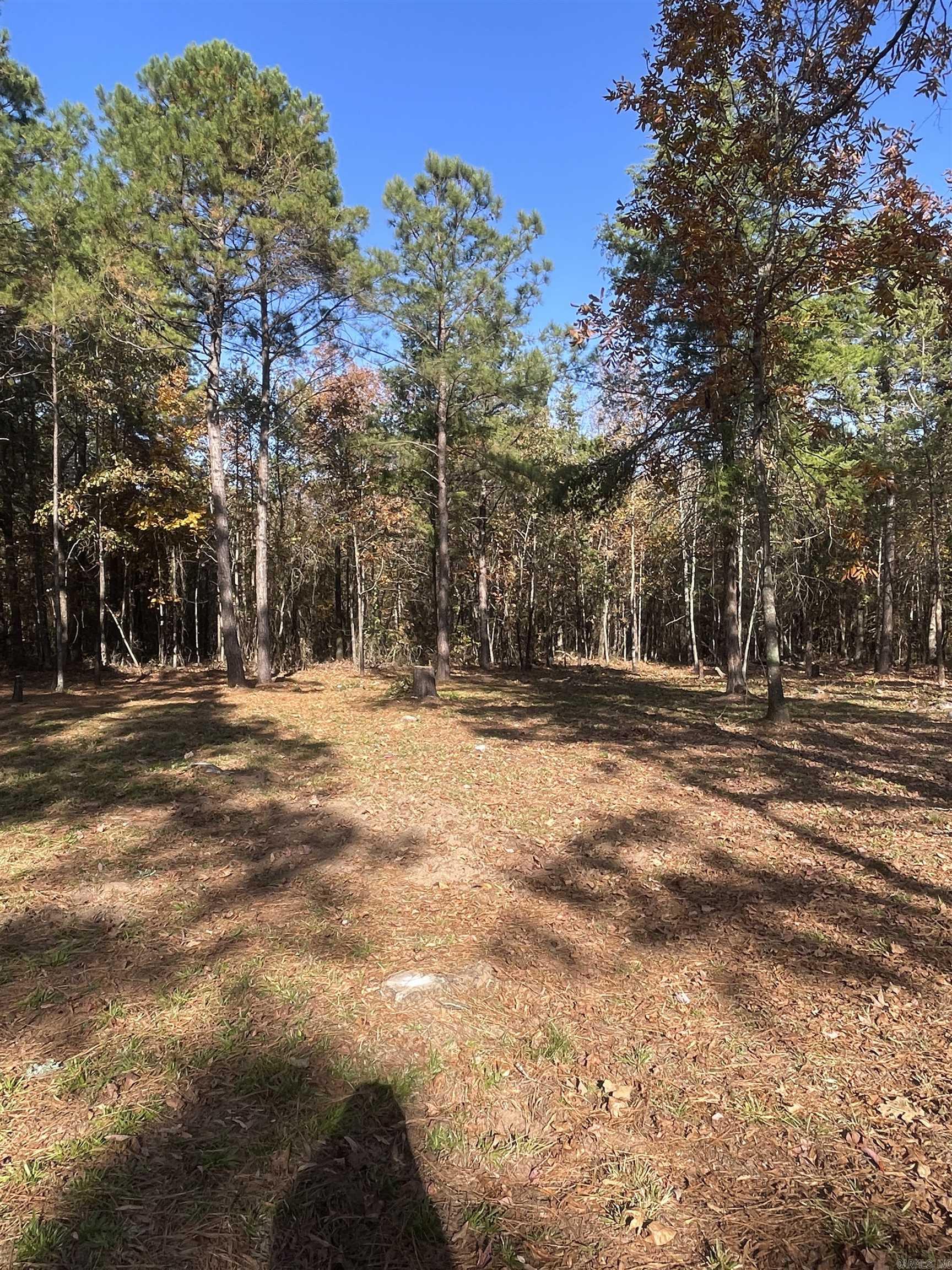 10957 Highway 160  Doddridge, AR