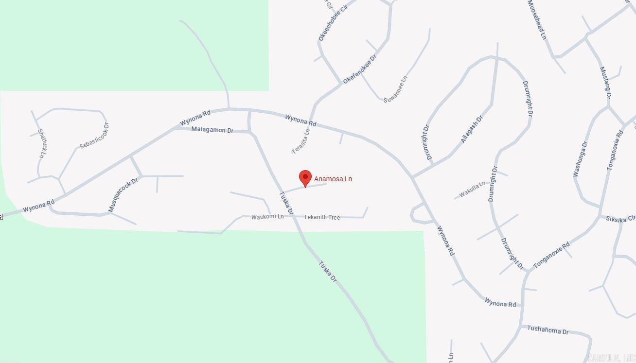 Lot 1 Anamosa  Cherokee Village, AR