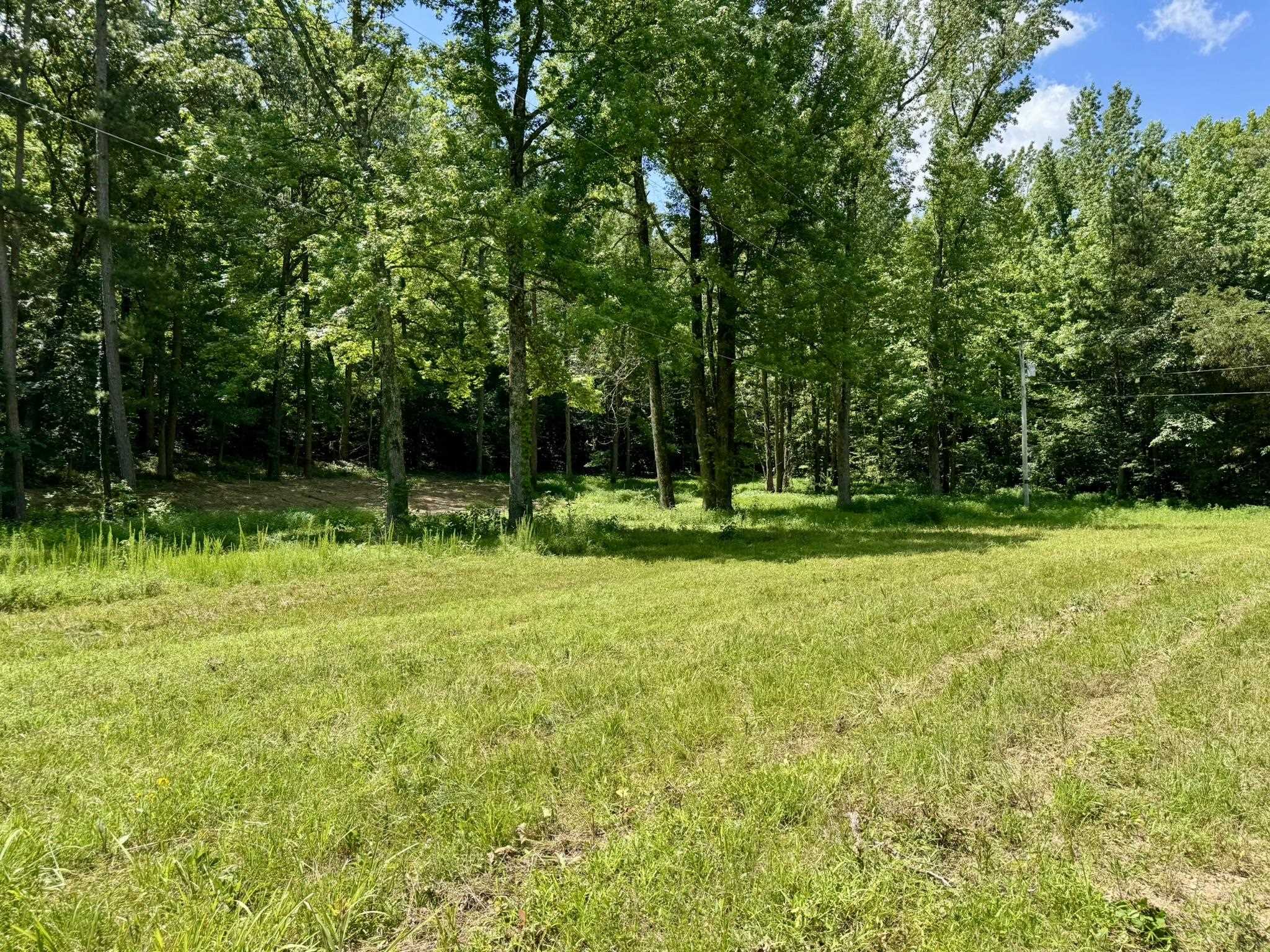 42.83 acres Rose Trail  Melbourne, AR